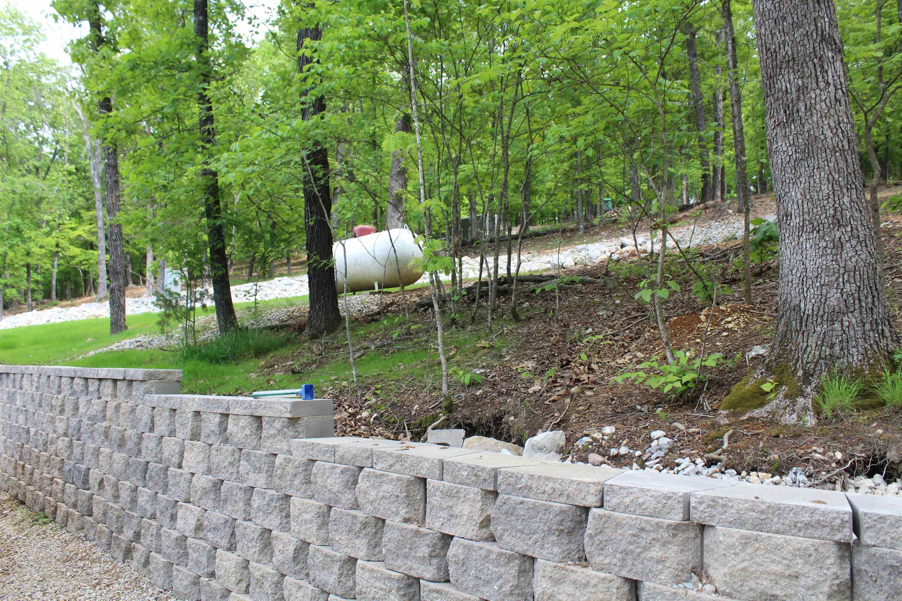 170 Blue Lake Drive  PROTEM, AR