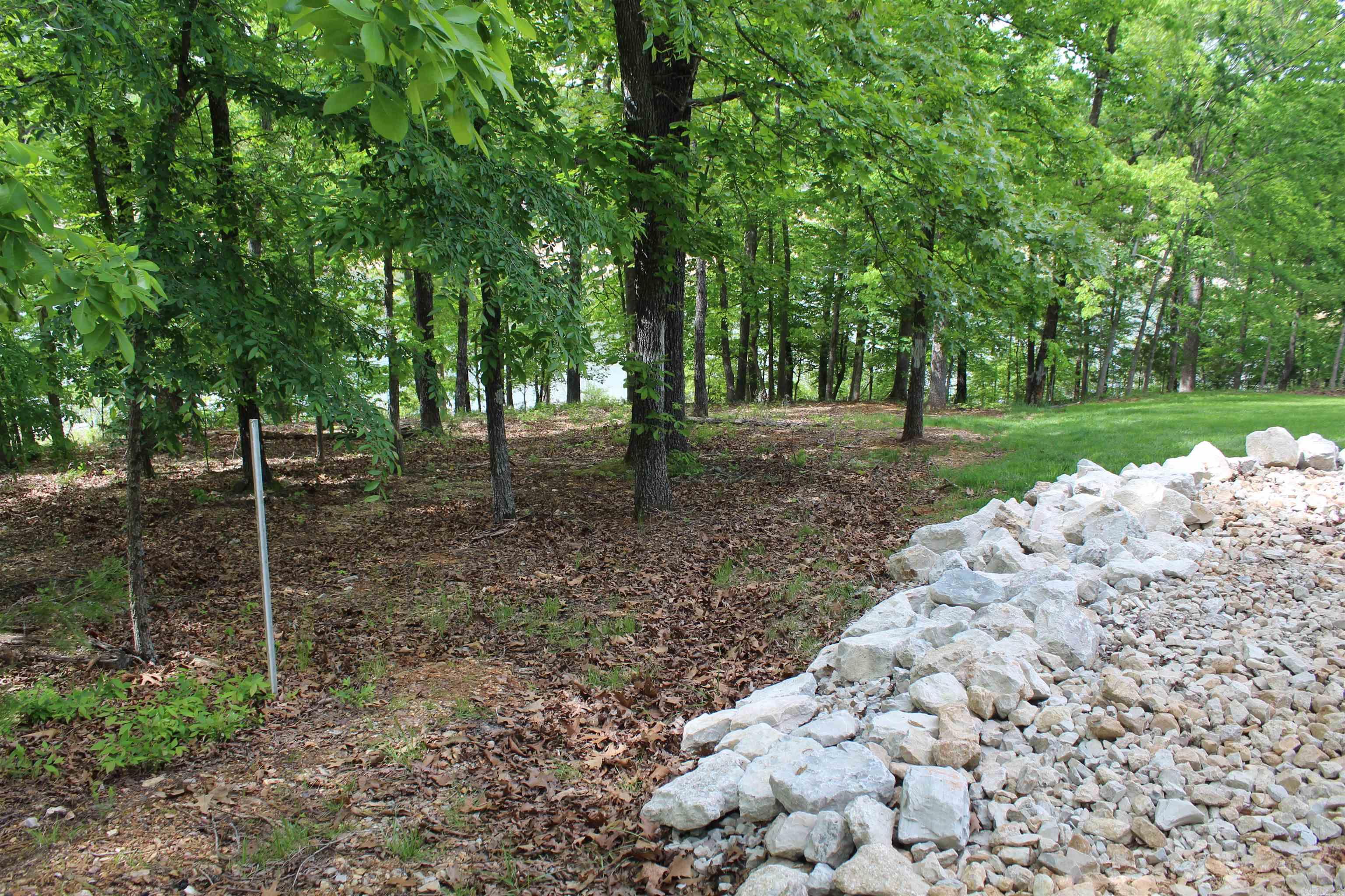 170 Blue Lake Drive  PROTEM, AR