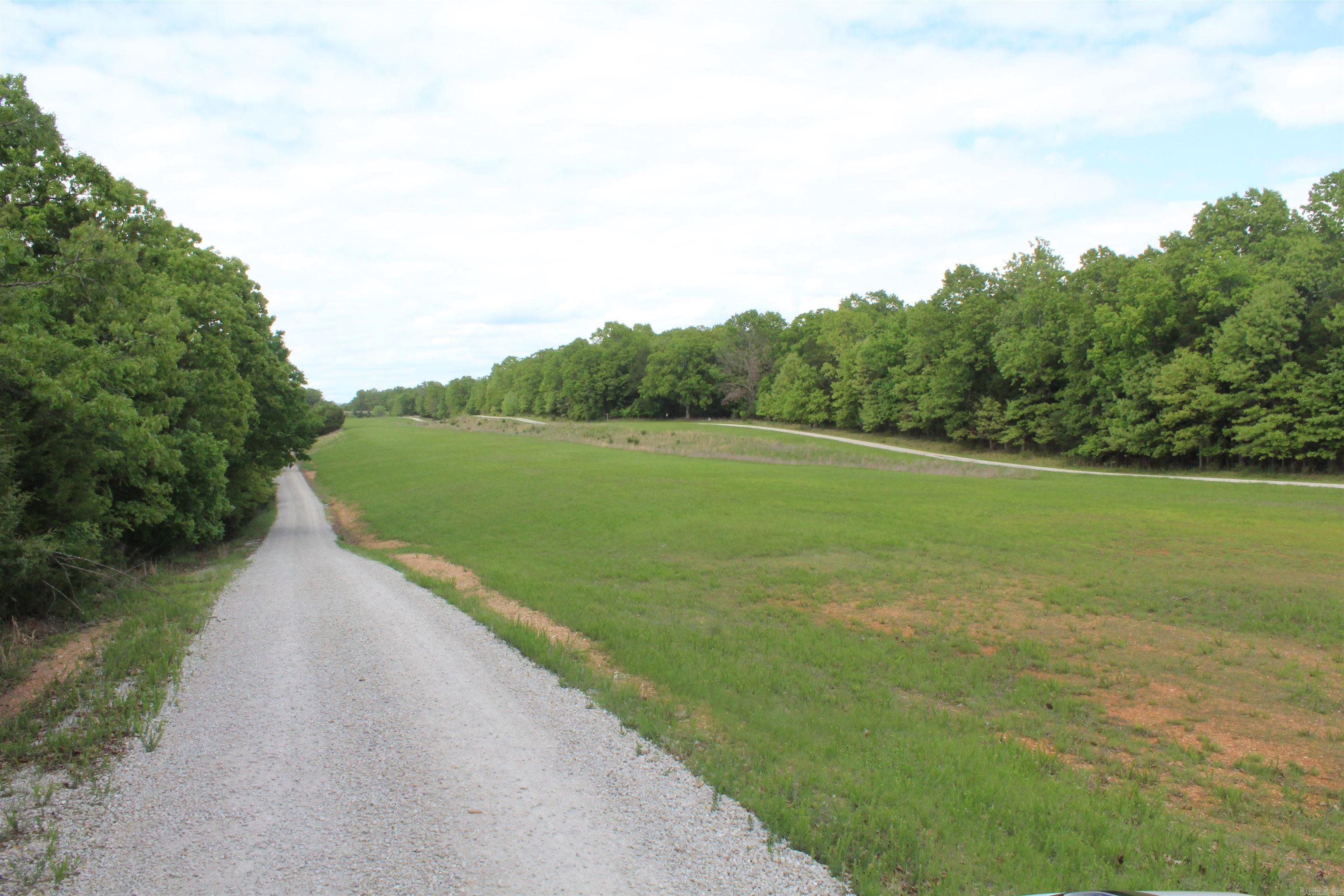 170 Blue Lake Drive  PROTEM, AR