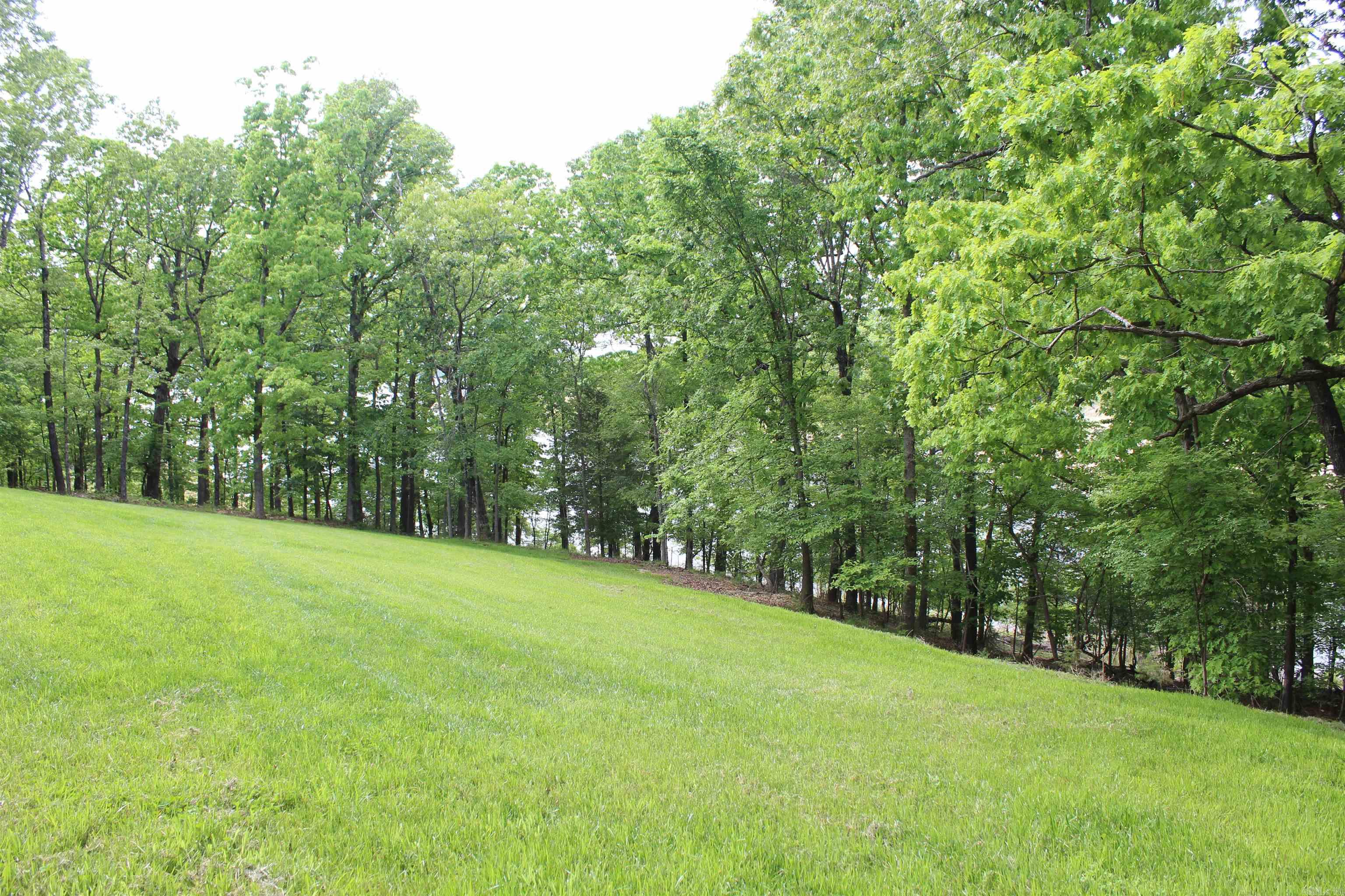 170 Blue Lake Drive  PROTEM, AR