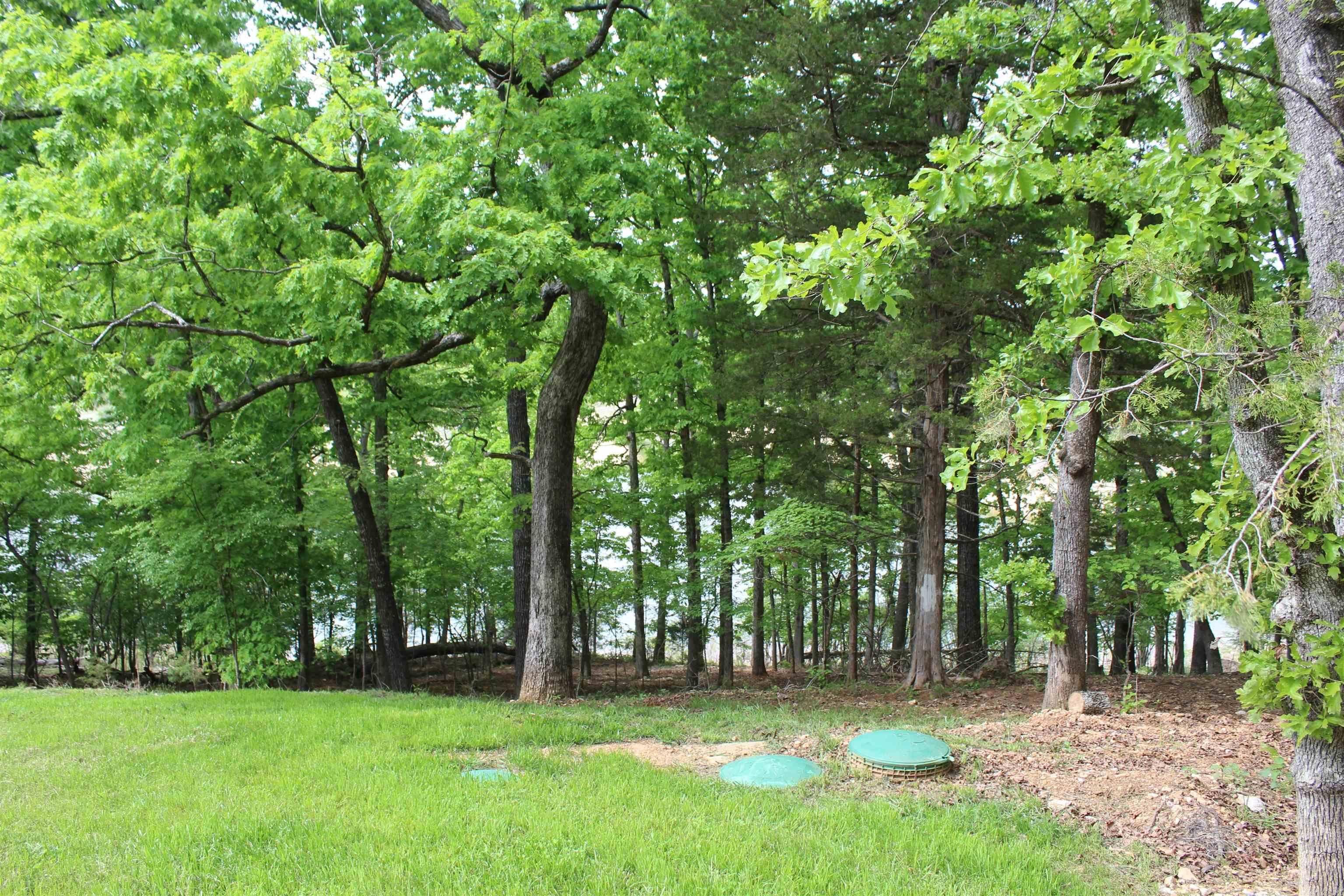 170 Blue Lake Drive  PROTEM, AR