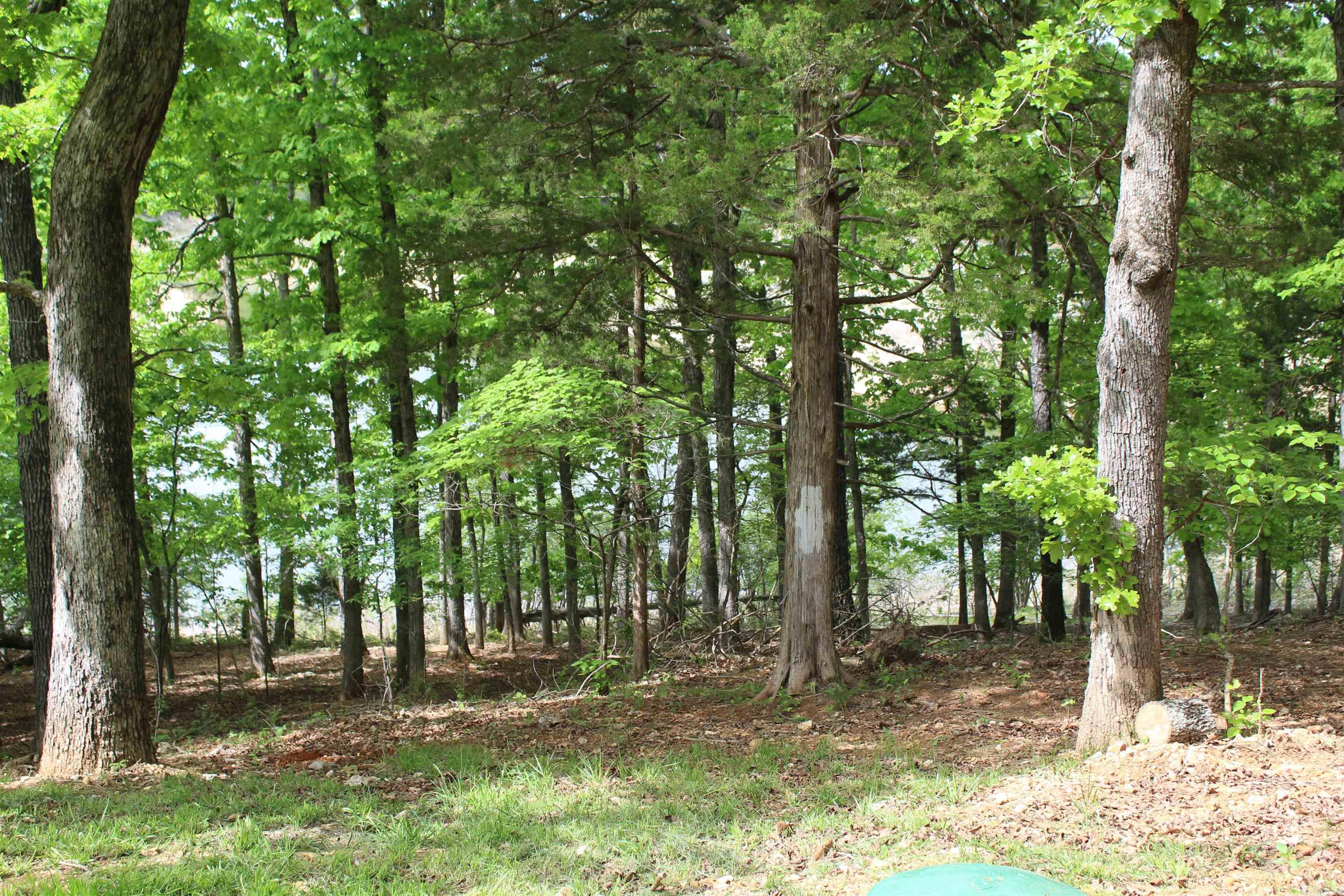 170 Blue Lake Drive  PROTEM, AR