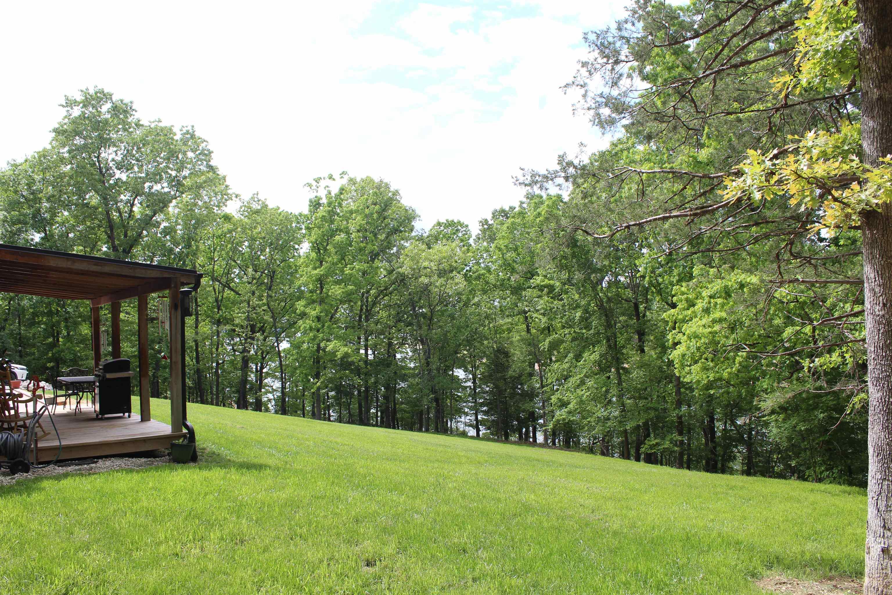 170 Blue Lake Drive  PROTEM, AR