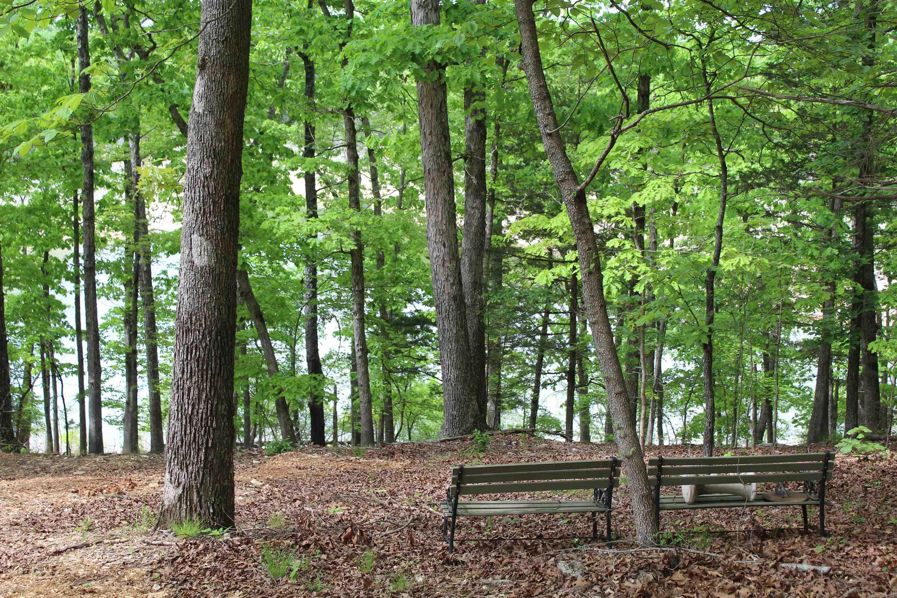 170 Blue Lake Drive  PROTEM, AR