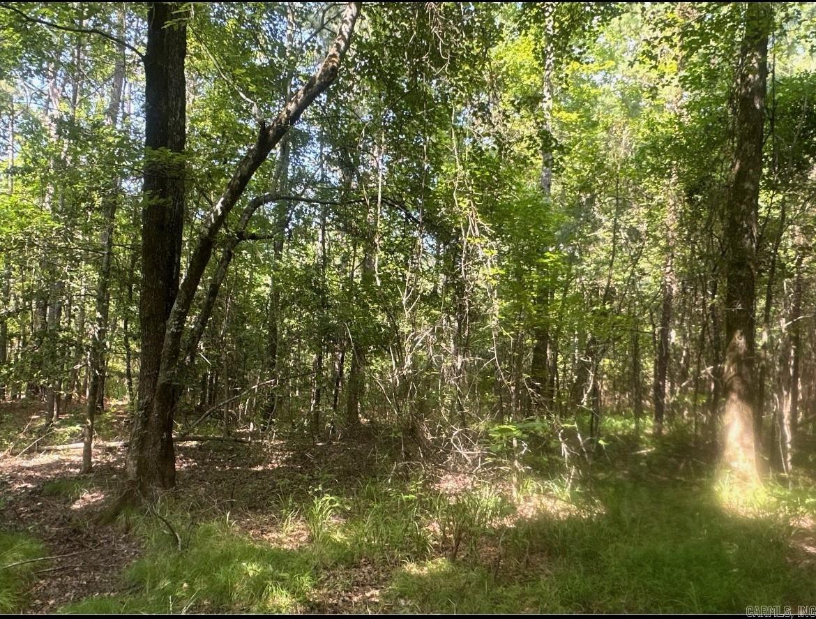 22-17-19 US Hwy 82  Village, AR