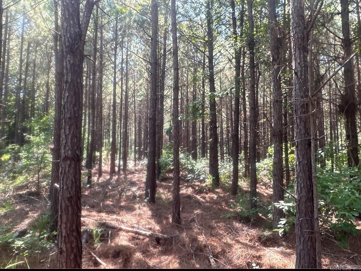 22-17-19 US Hwy 82  Village, AR