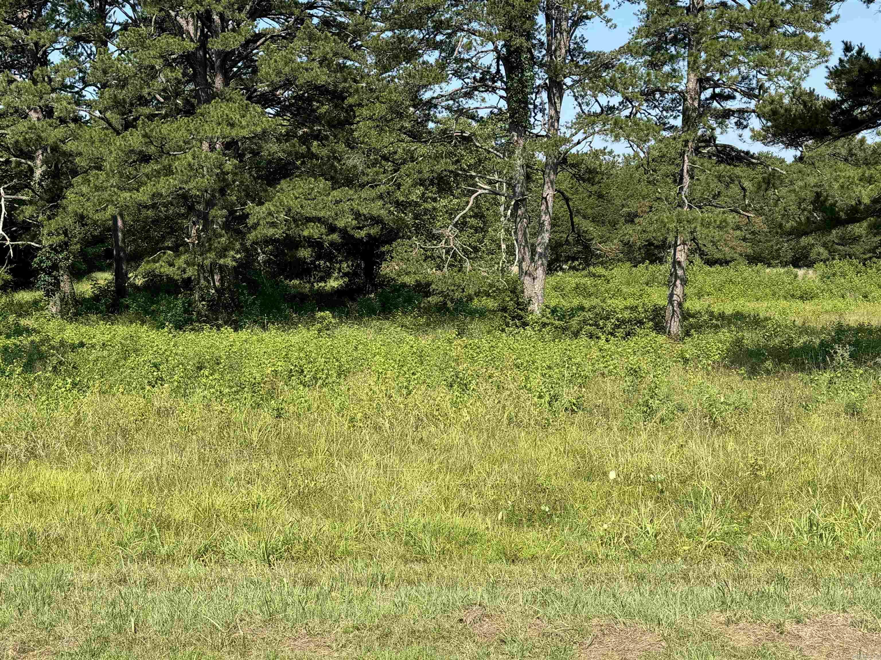 6.86 Acres Edgemont  Greers Ferry, AR