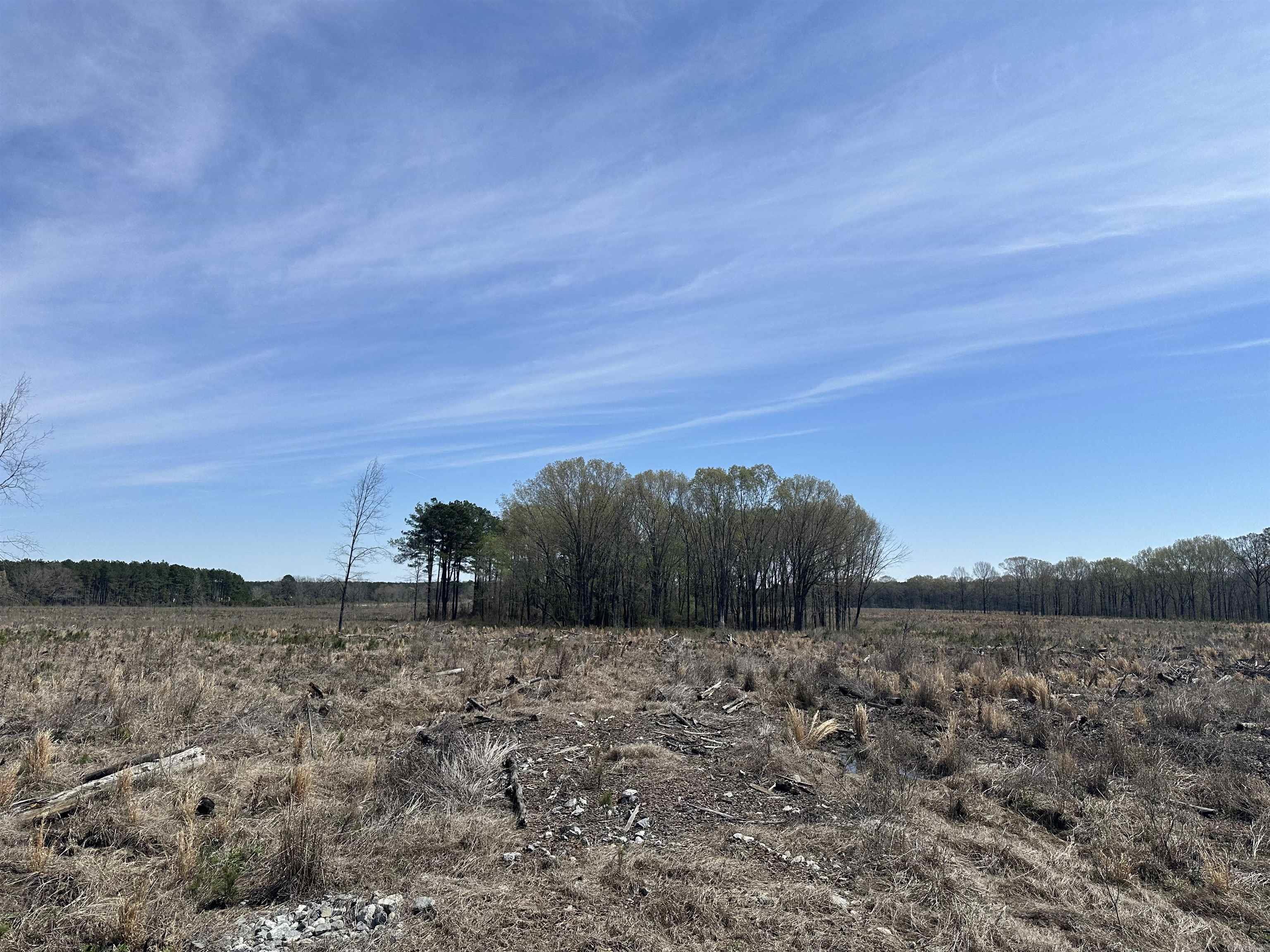 19-14-6 Drew CR 36  Monticello, AR