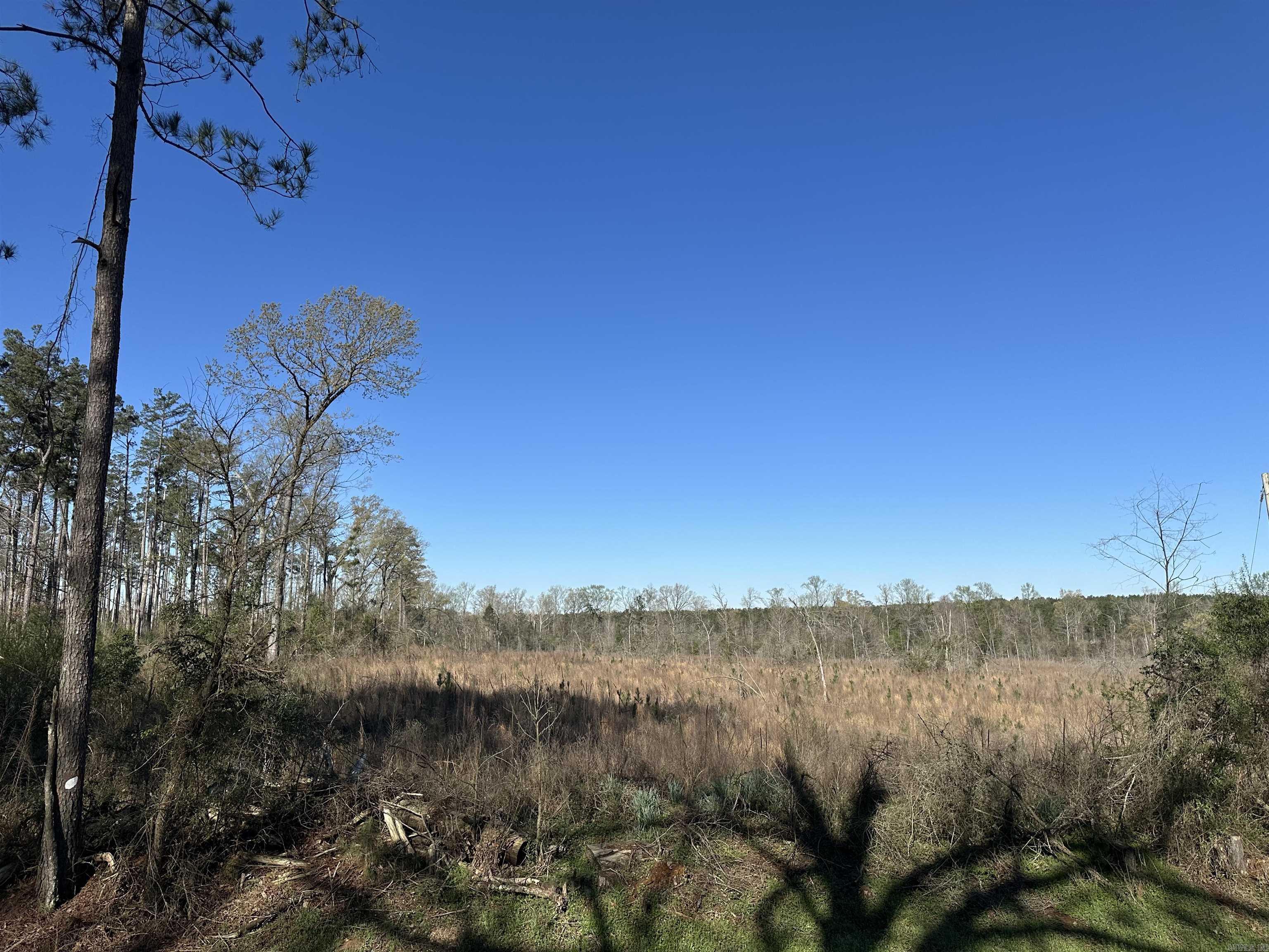 5-13-10 N Bradley CR 7  Warren, AR