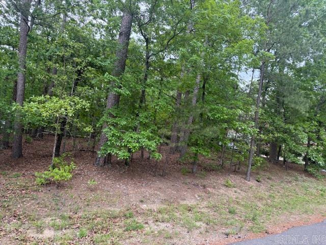 33 Cresta  Hot Springs Village, AR