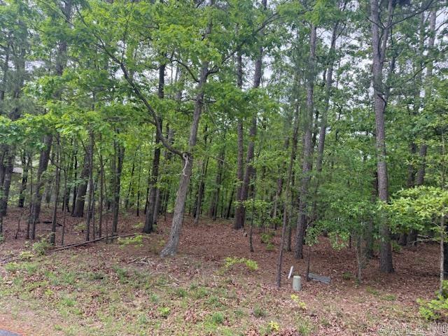 33 Cresta  Hot Springs Village, AR