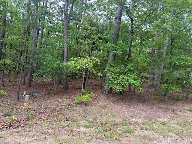 33 Cresta  Hot Springs Village, AR