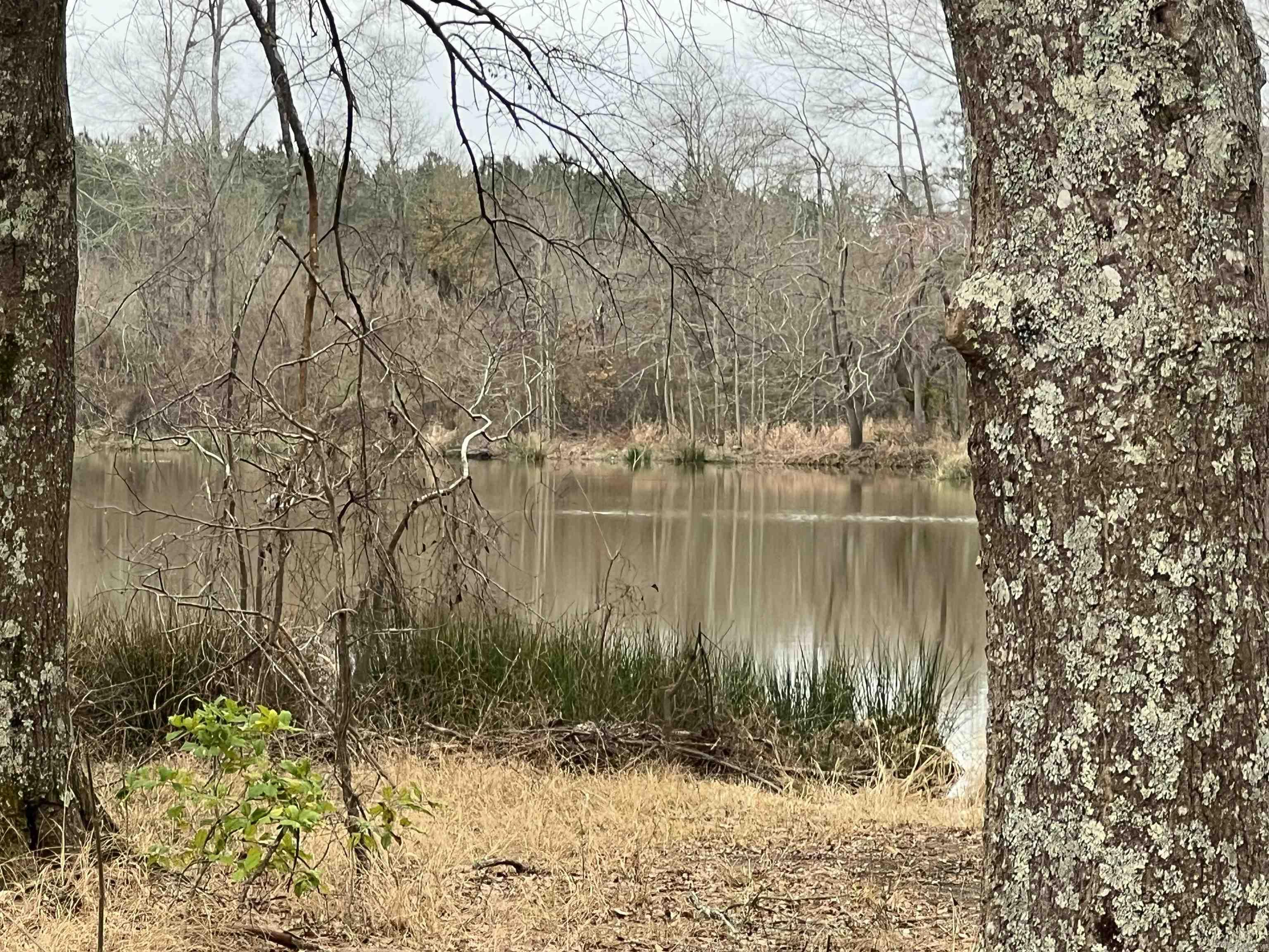 34n33-16-21 US Highway 82  Magnolia, AR