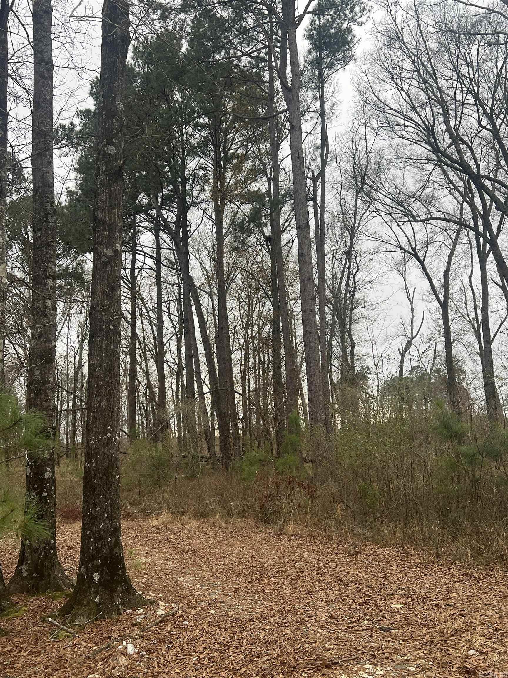 34n33-16-21 US Highway 82  Magnolia, AR