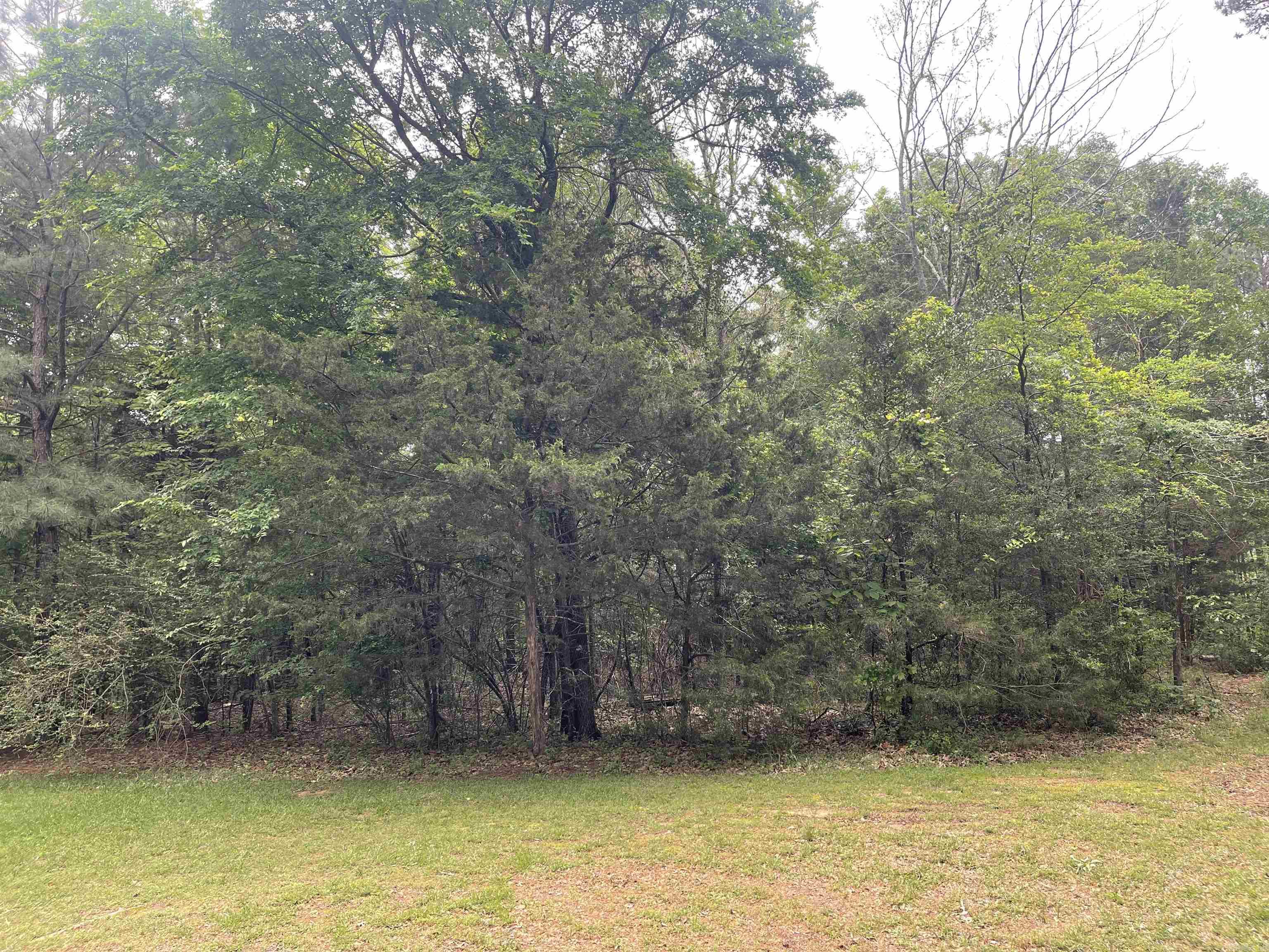 TBD N Ninth  De Queen, AR