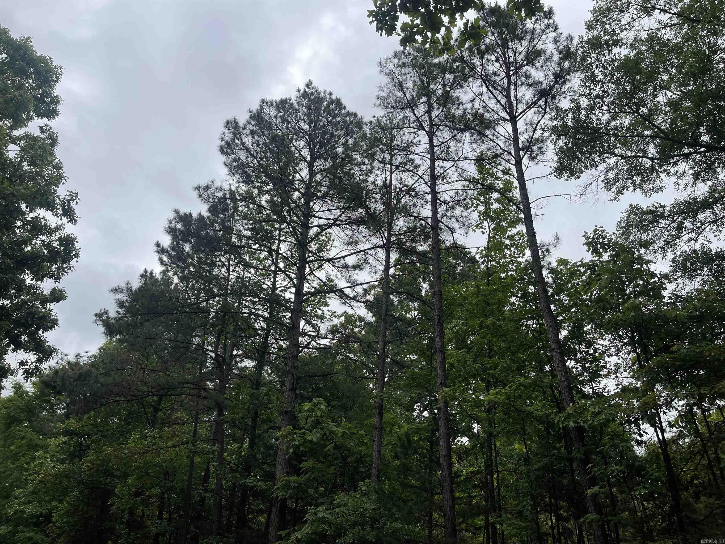 TBD N Ninth  De Queen, AR