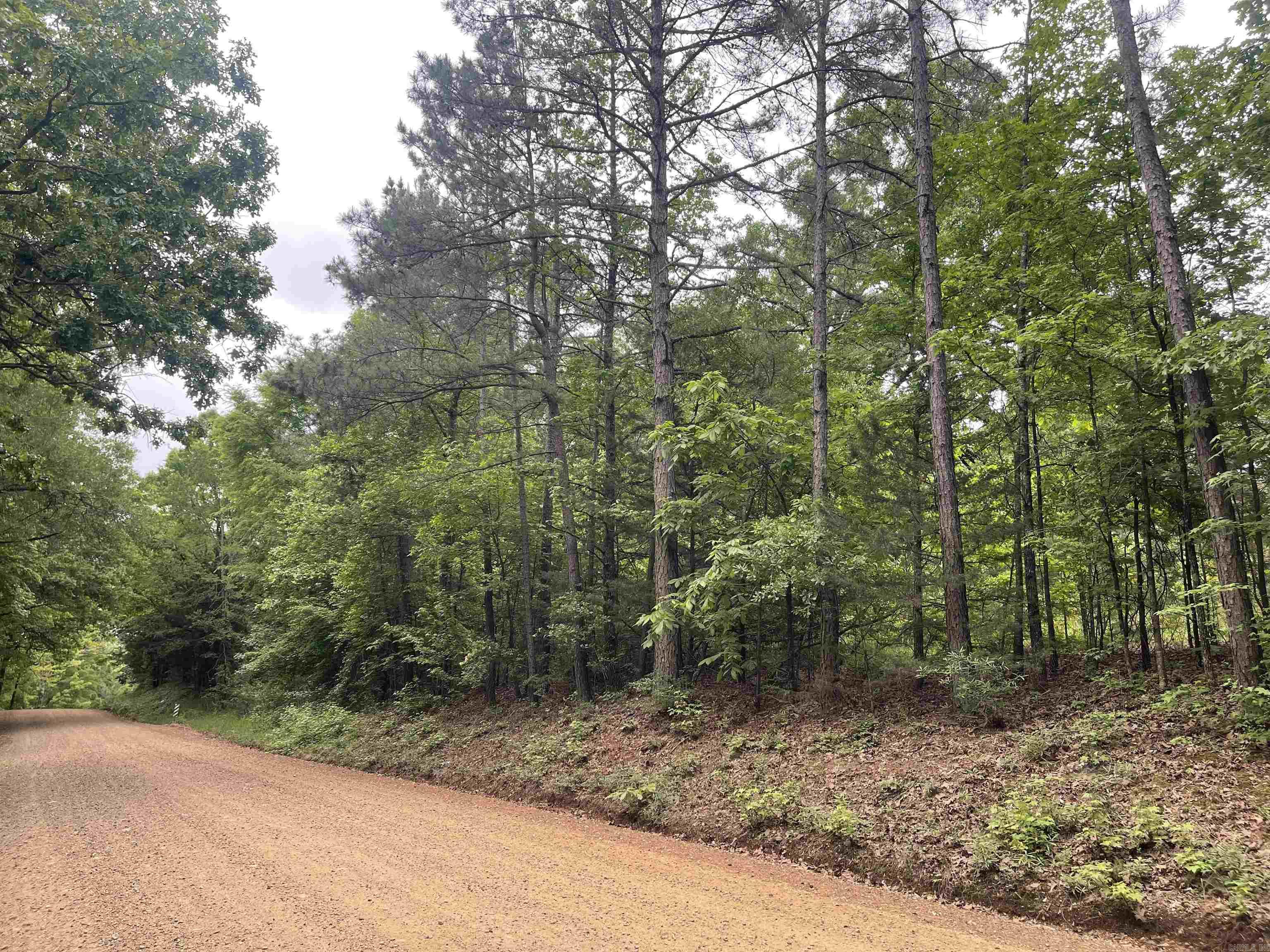 TBD N Ninth  De Queen, AR