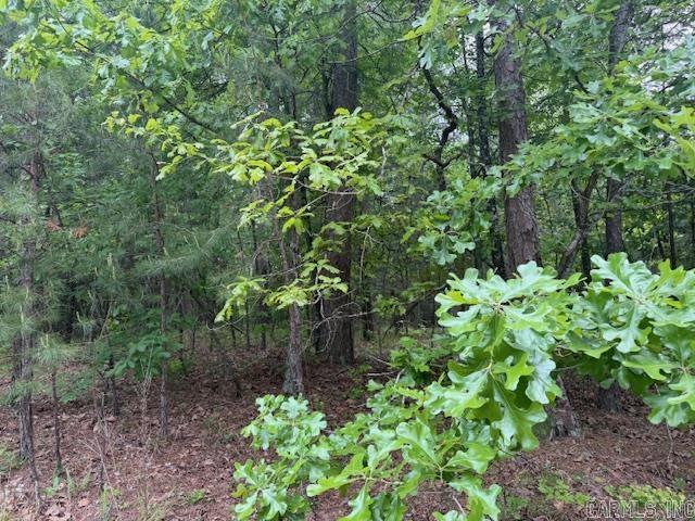 28 Brillante  Hot Springs Village, AR