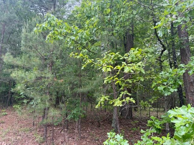 28 Brillante  Hot Springs Village, AR