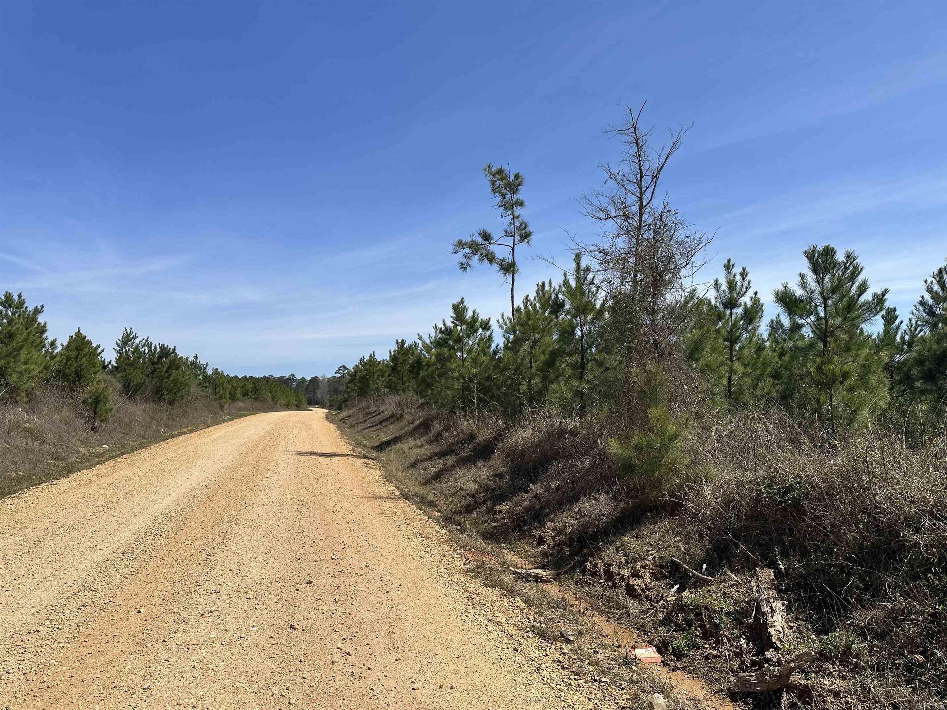 15-15-8 Drew CR 1  Fountain Hill, AR