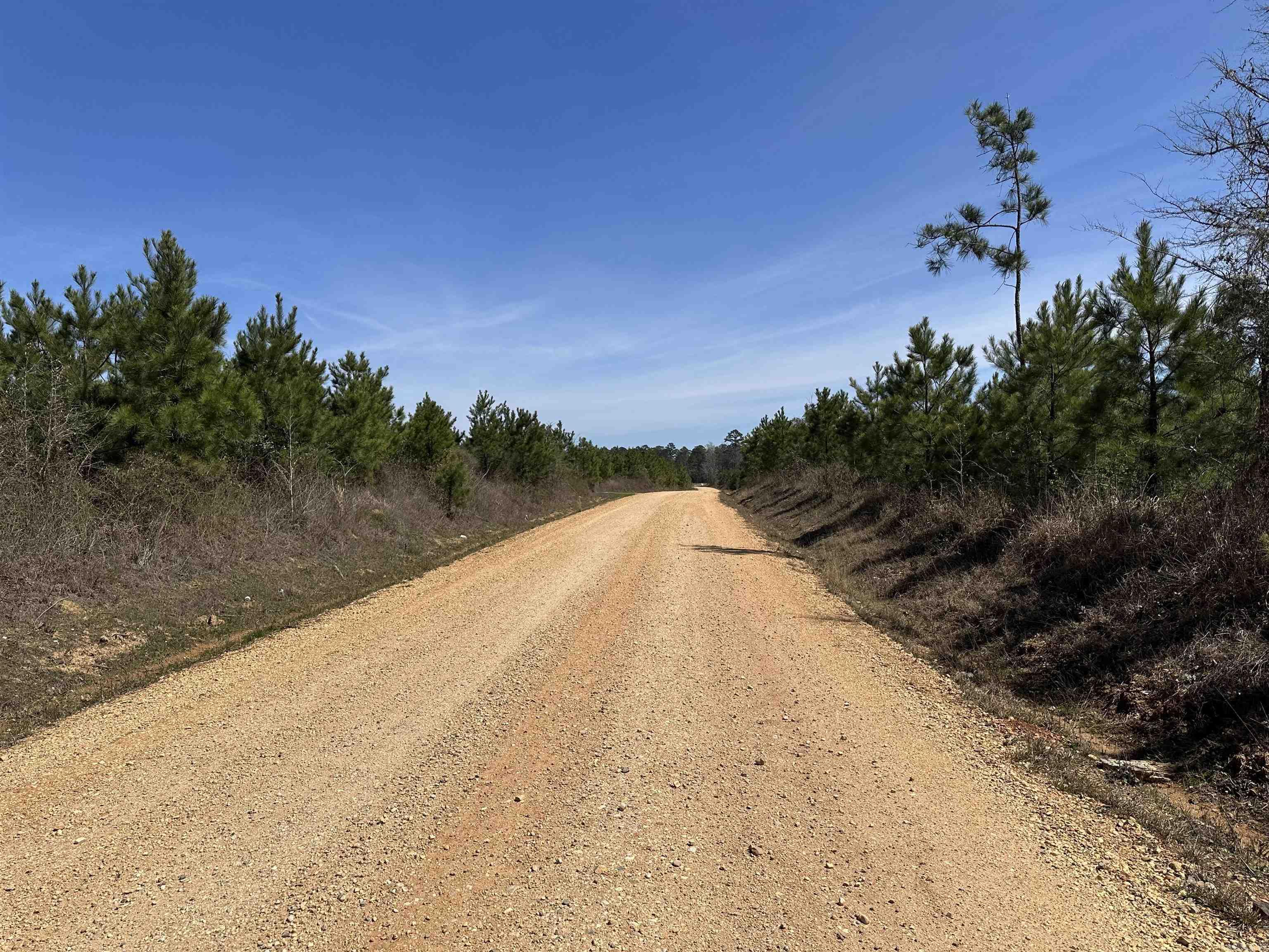 15-15-8 Drew CR 1  Fountain Hill, AR