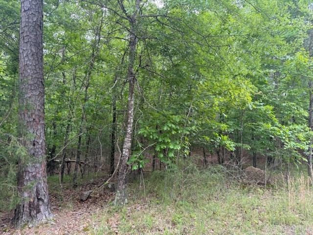 46 Campeon  Hot Springs Village, AR