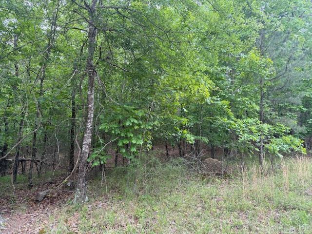 46 Campeon  Hot Springs Village, AR