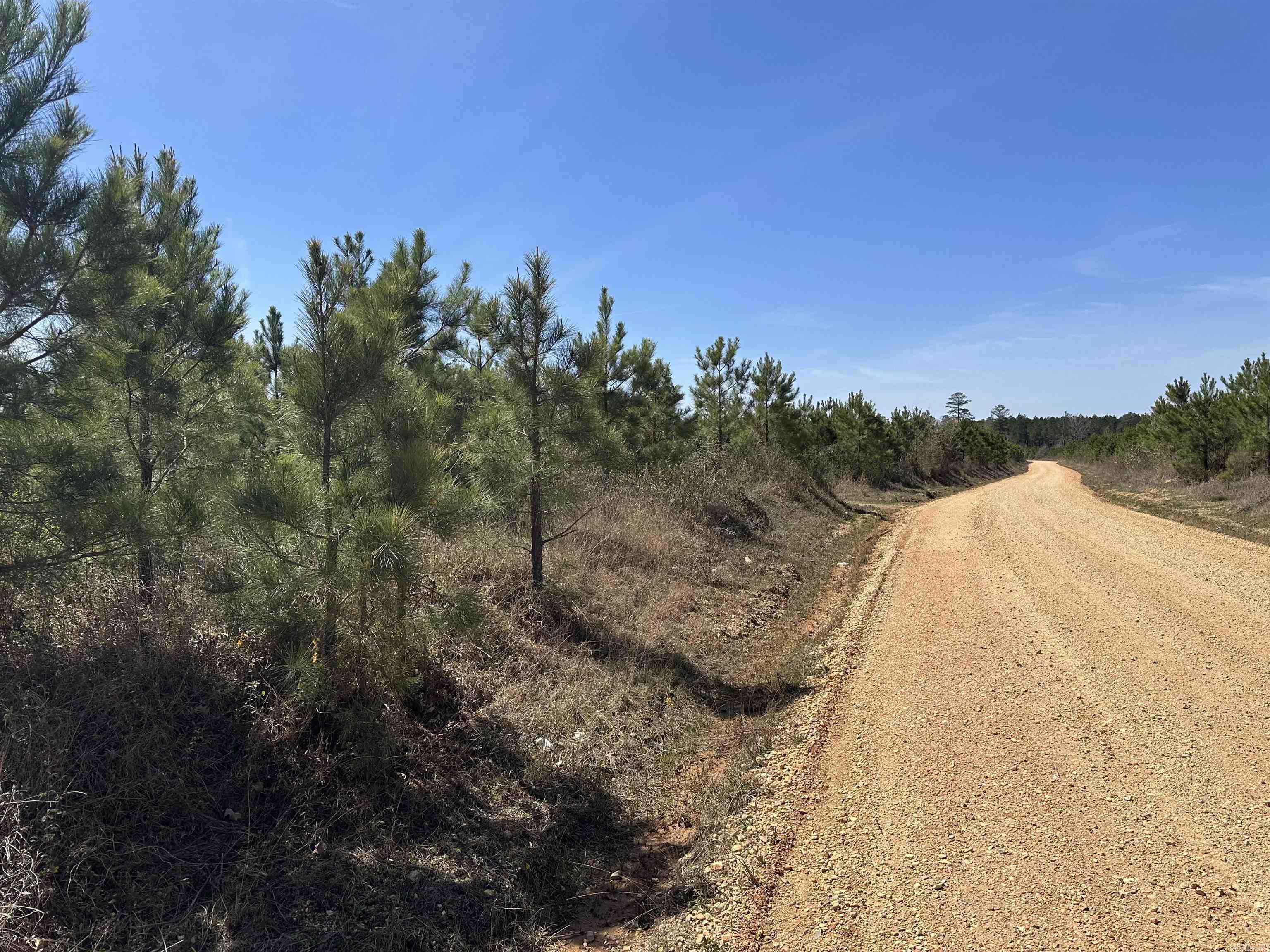 15-15-8 AR State Hwy 133  Fountain Hill, AR