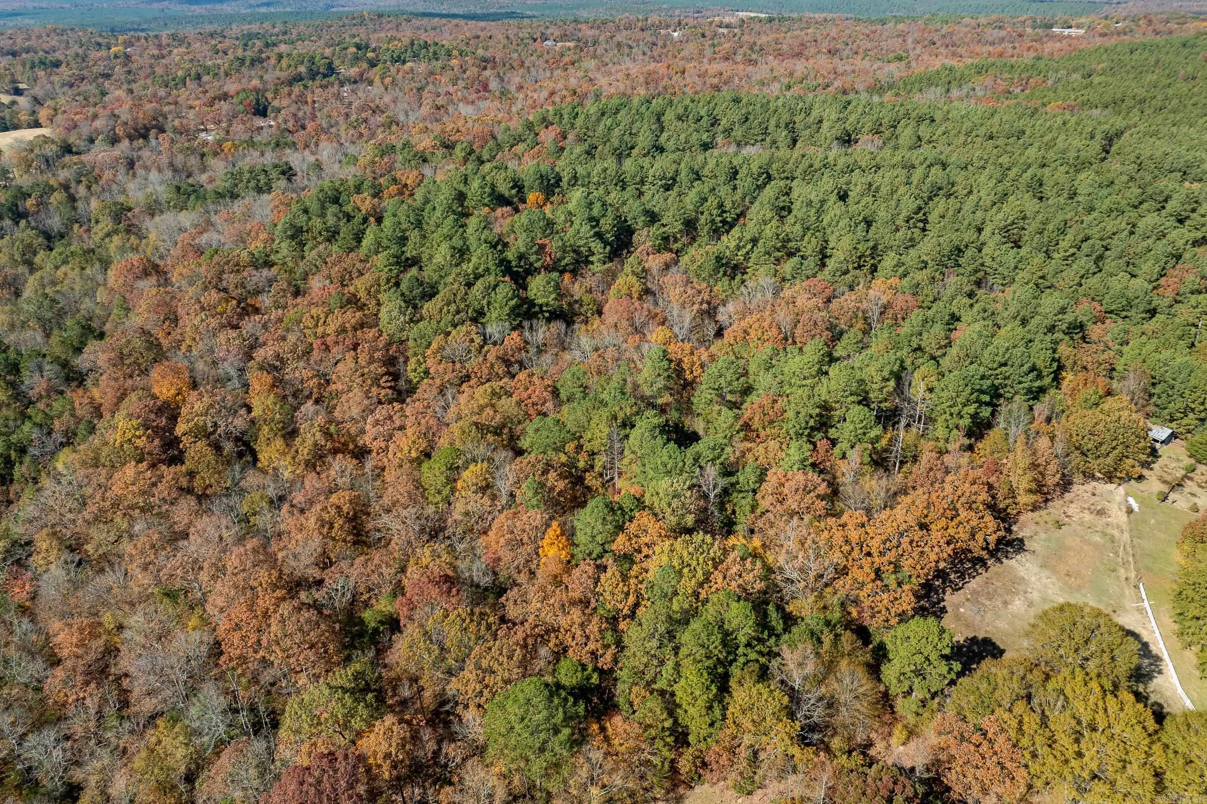 TBD Sims  De Queen, AR