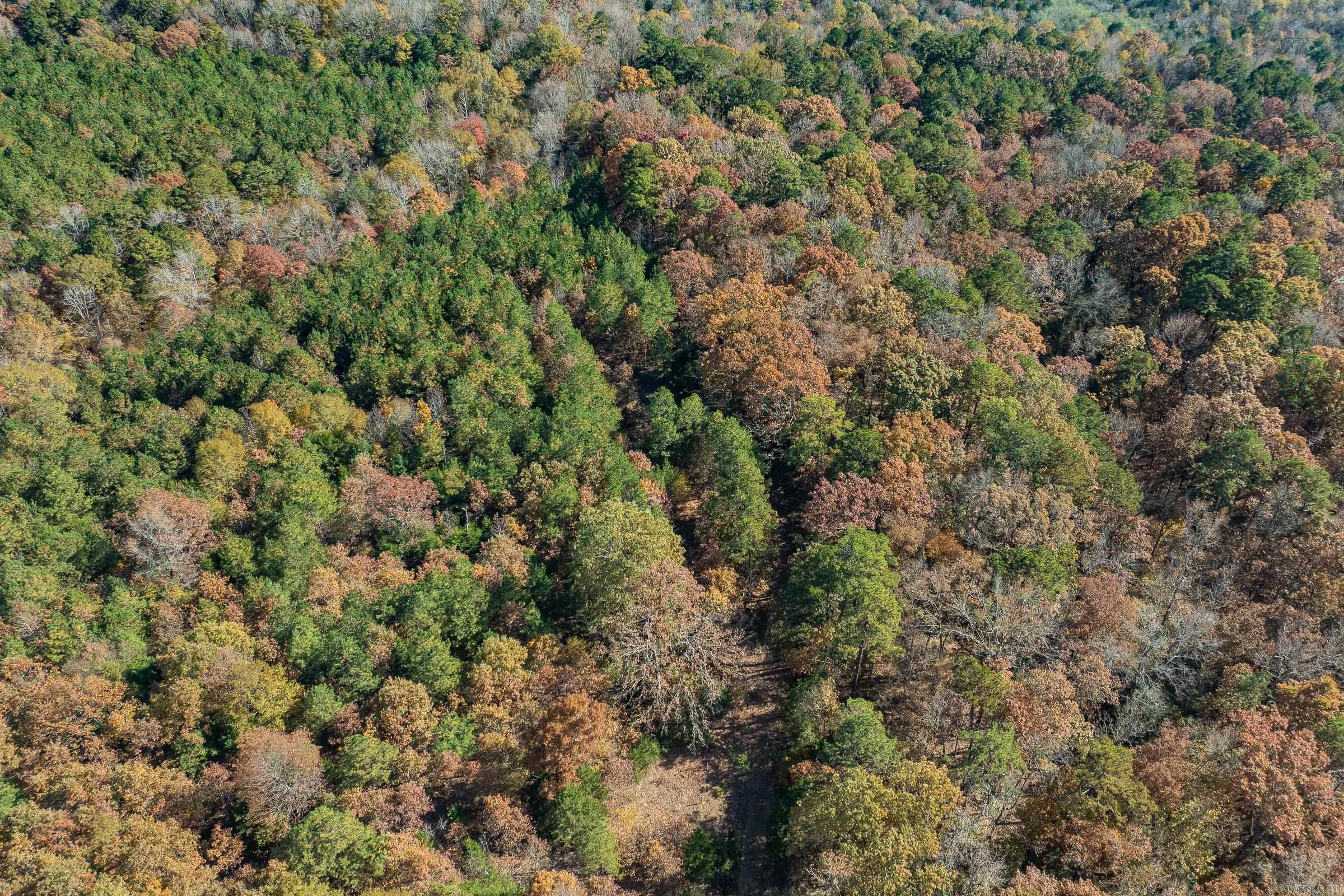 TBD Sims  De Queen, AR