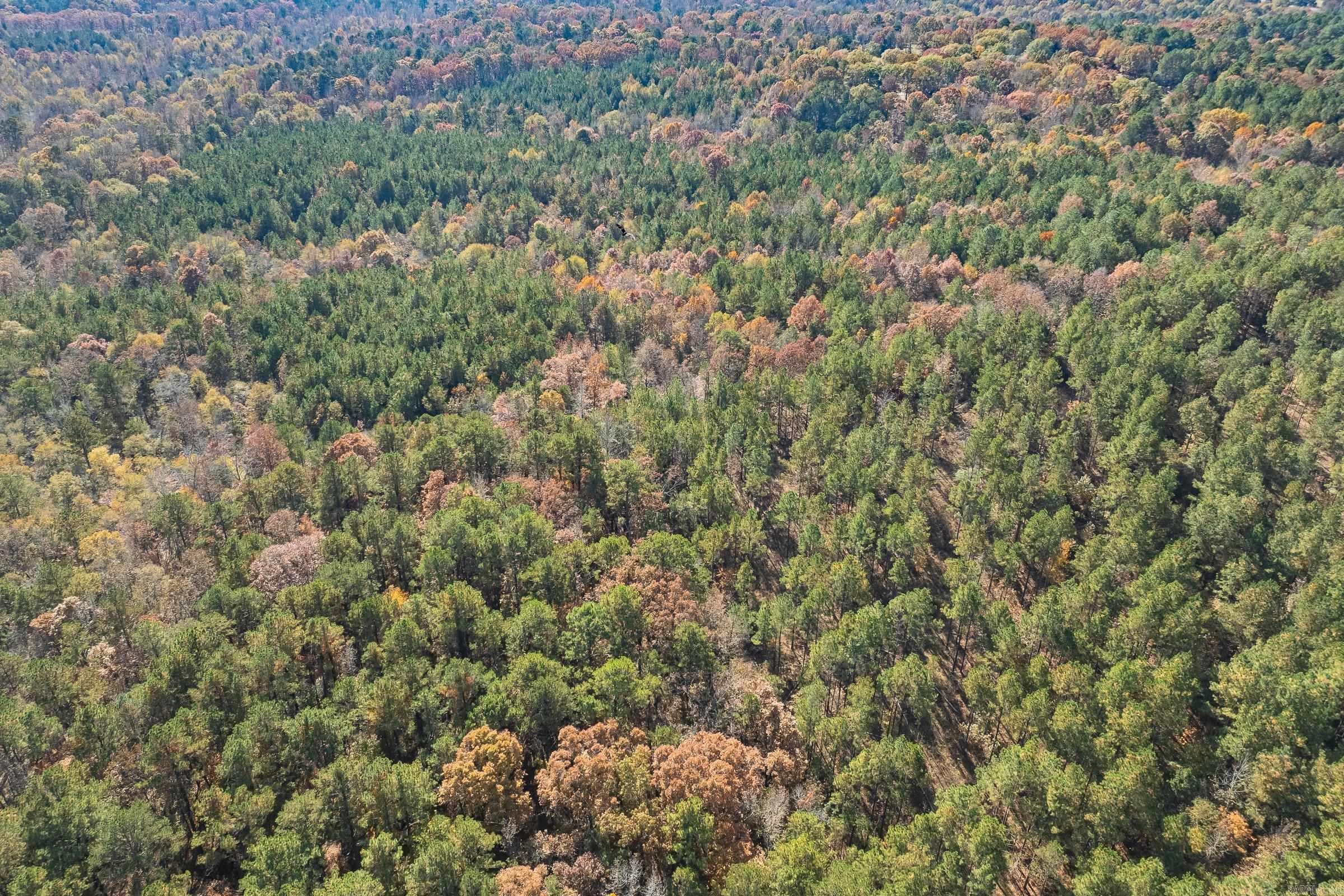 TBD Sims  De Queen, AR