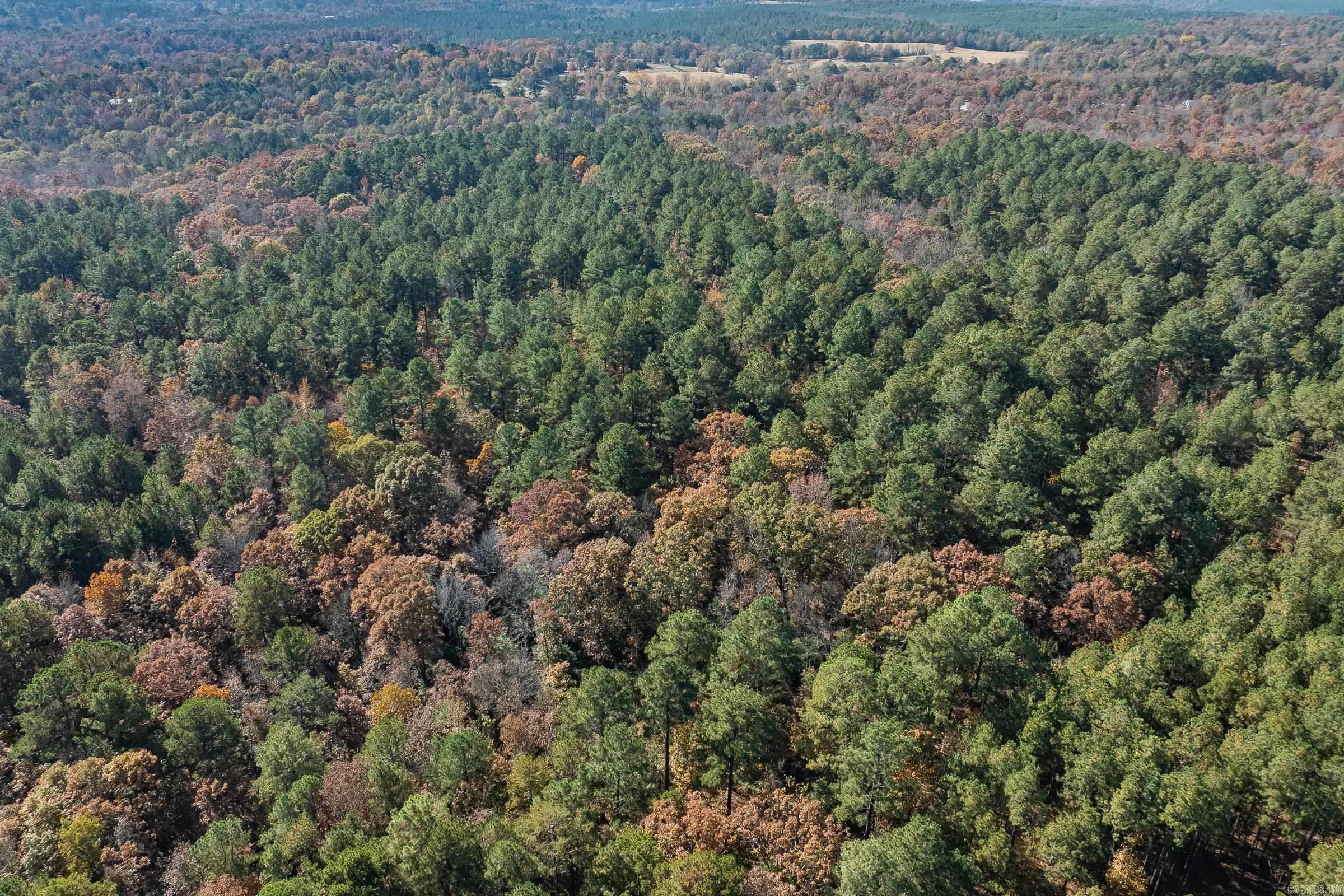 TBD Sims  De Queen, AR