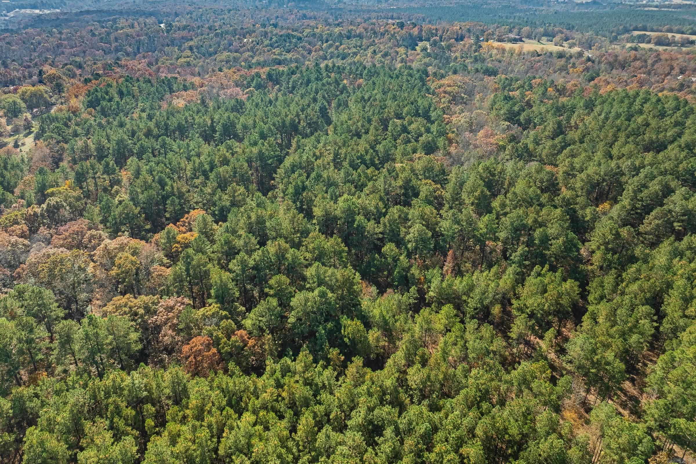 TBD Sims  De Queen, AR