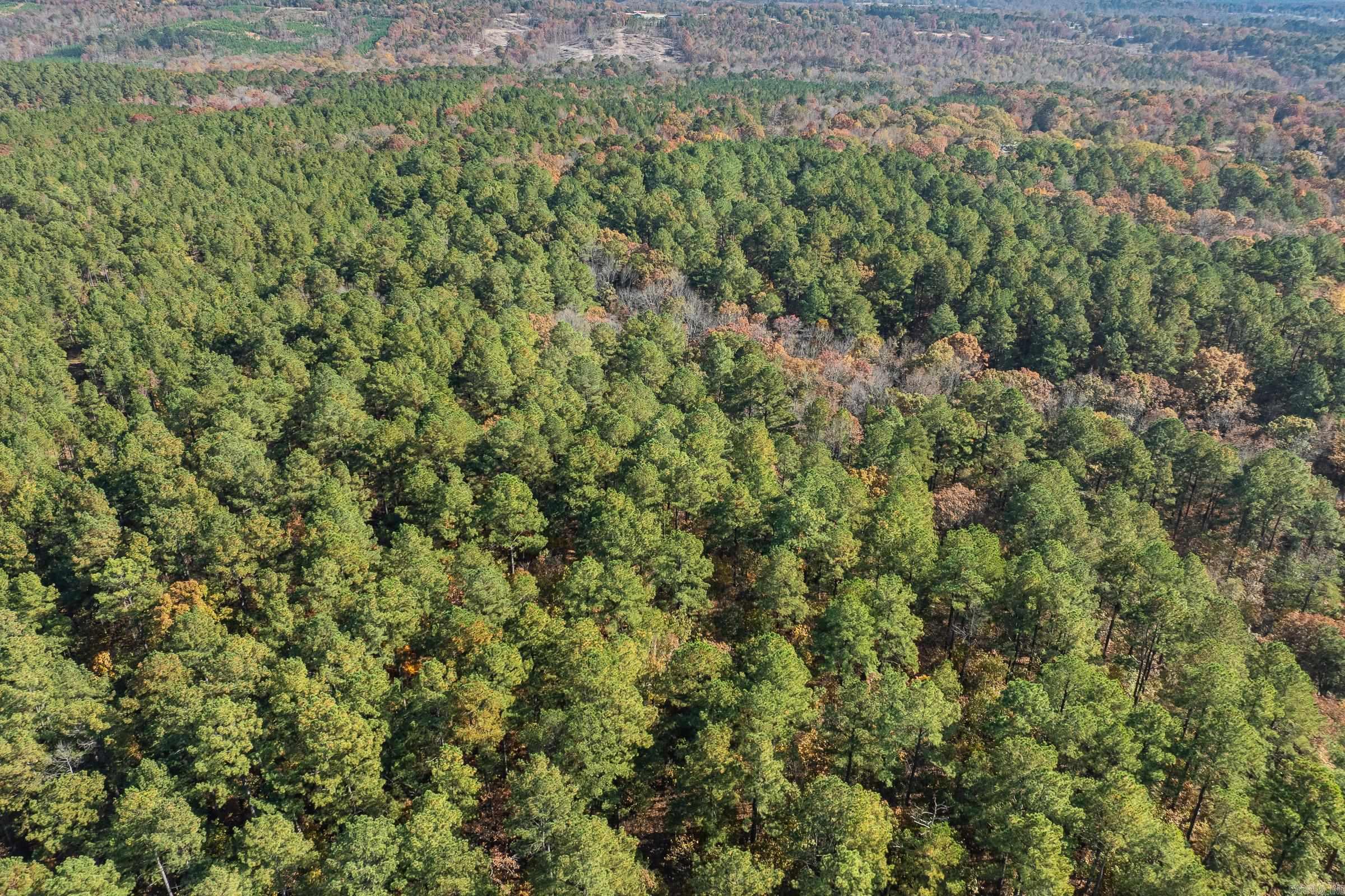 TBD Sims  De Queen, AR