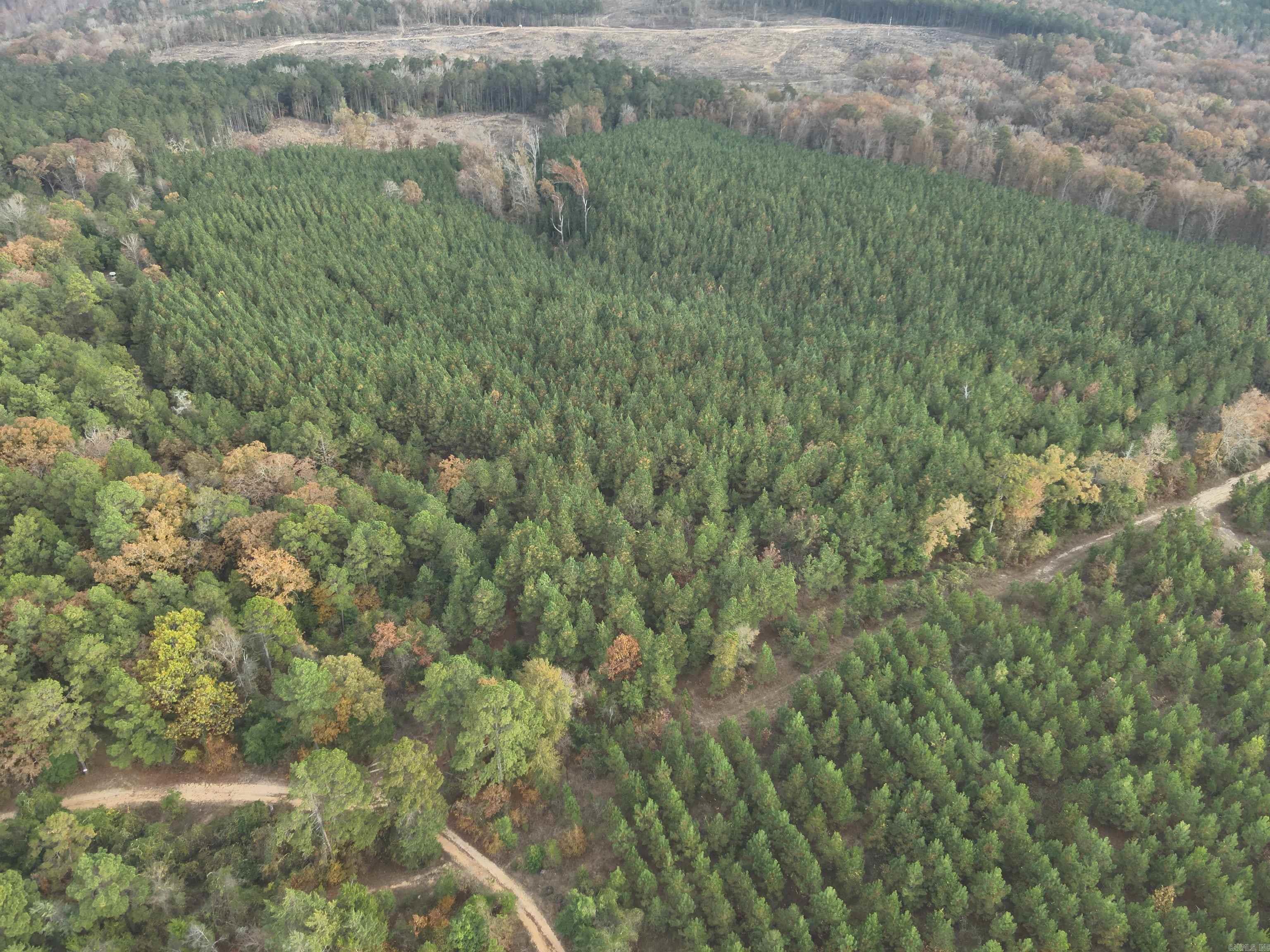 24-11-19 Ouachita CR 75  Chidester, AR