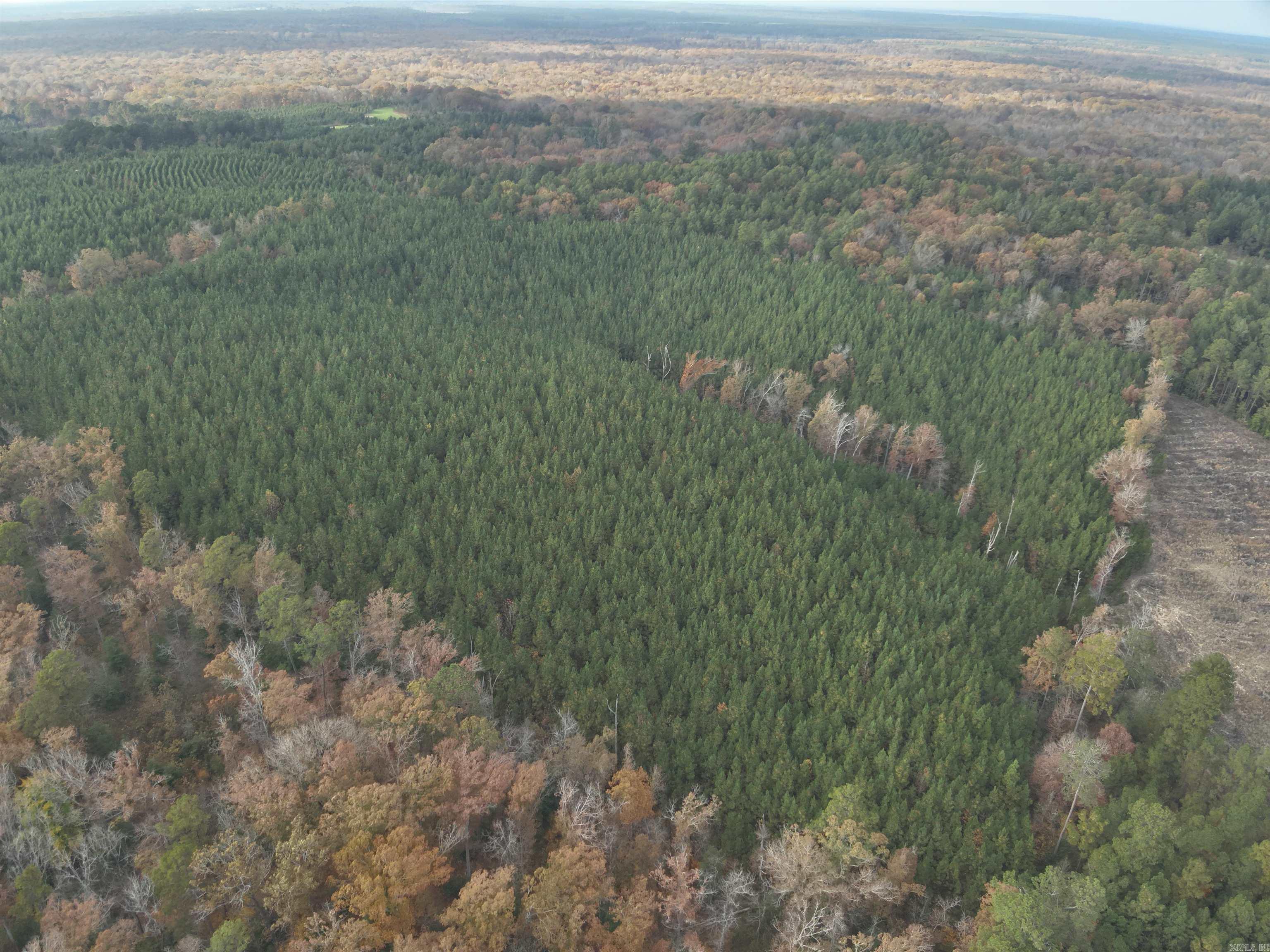 24-11-19 Ouachita CR 75  Chidester, AR