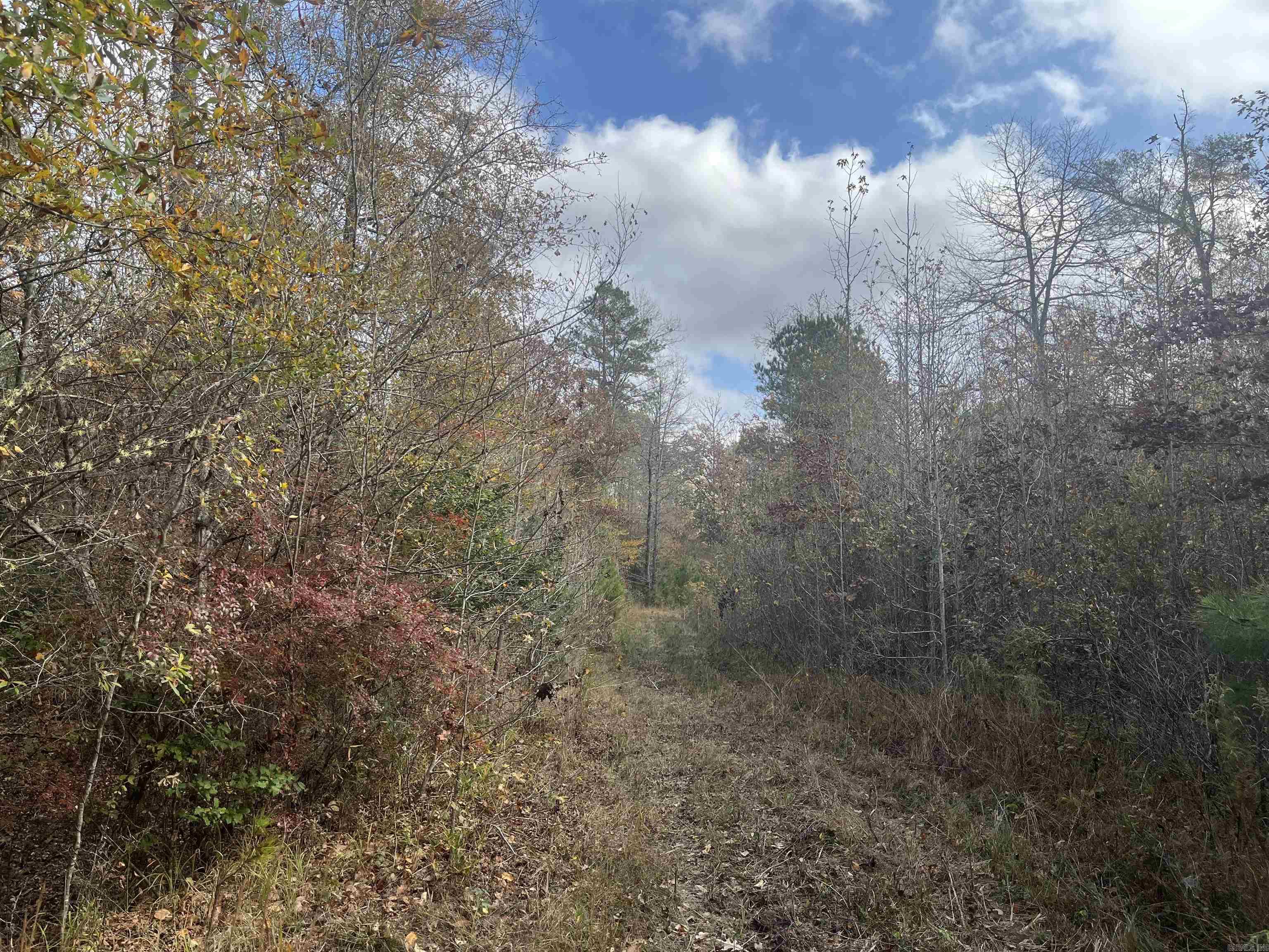 9-19-18 Salem Cemetery Rd  El Dorado, AR