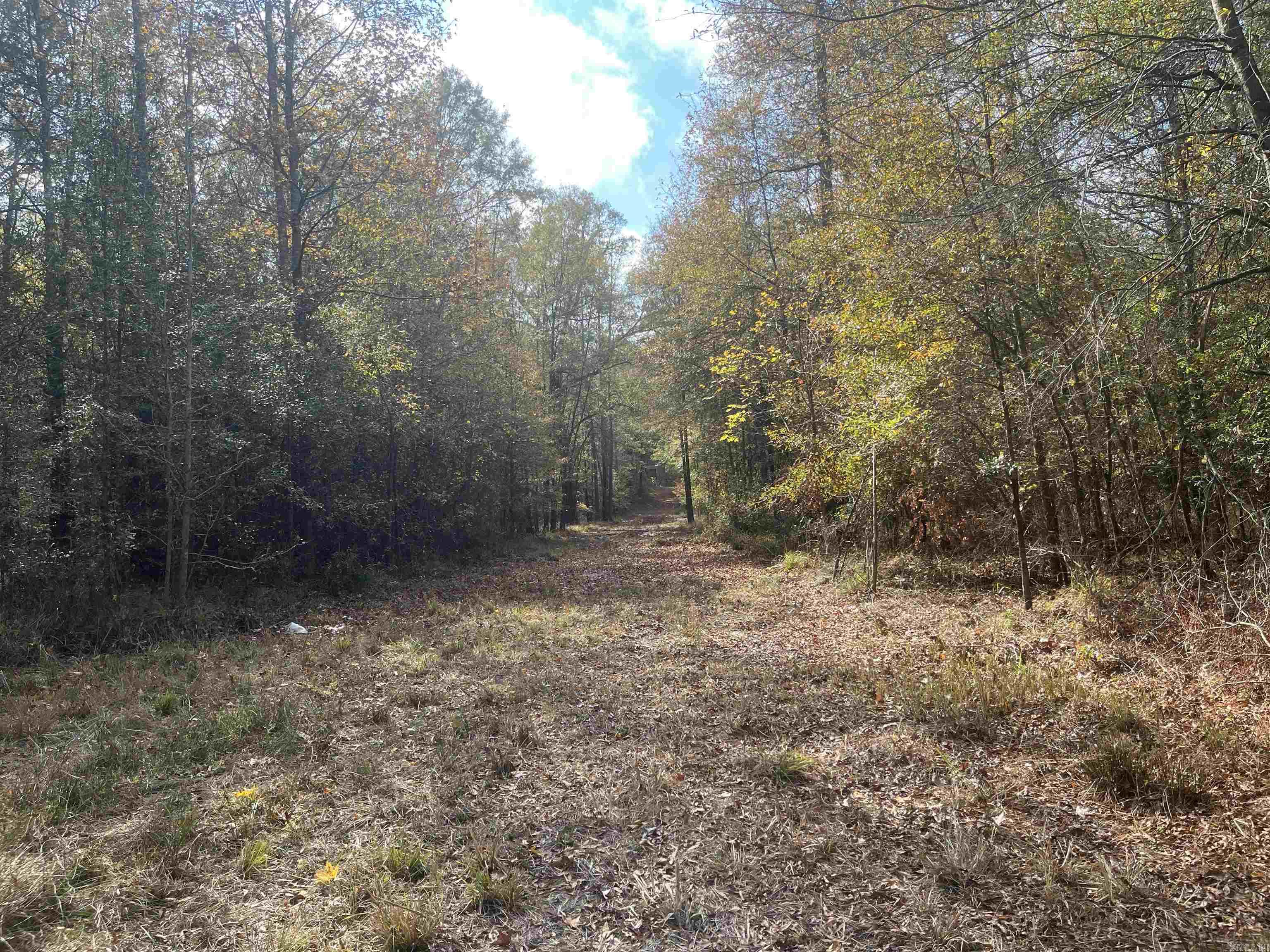 9-19-18 Salem Cemetery Rd  El Dorado, AR