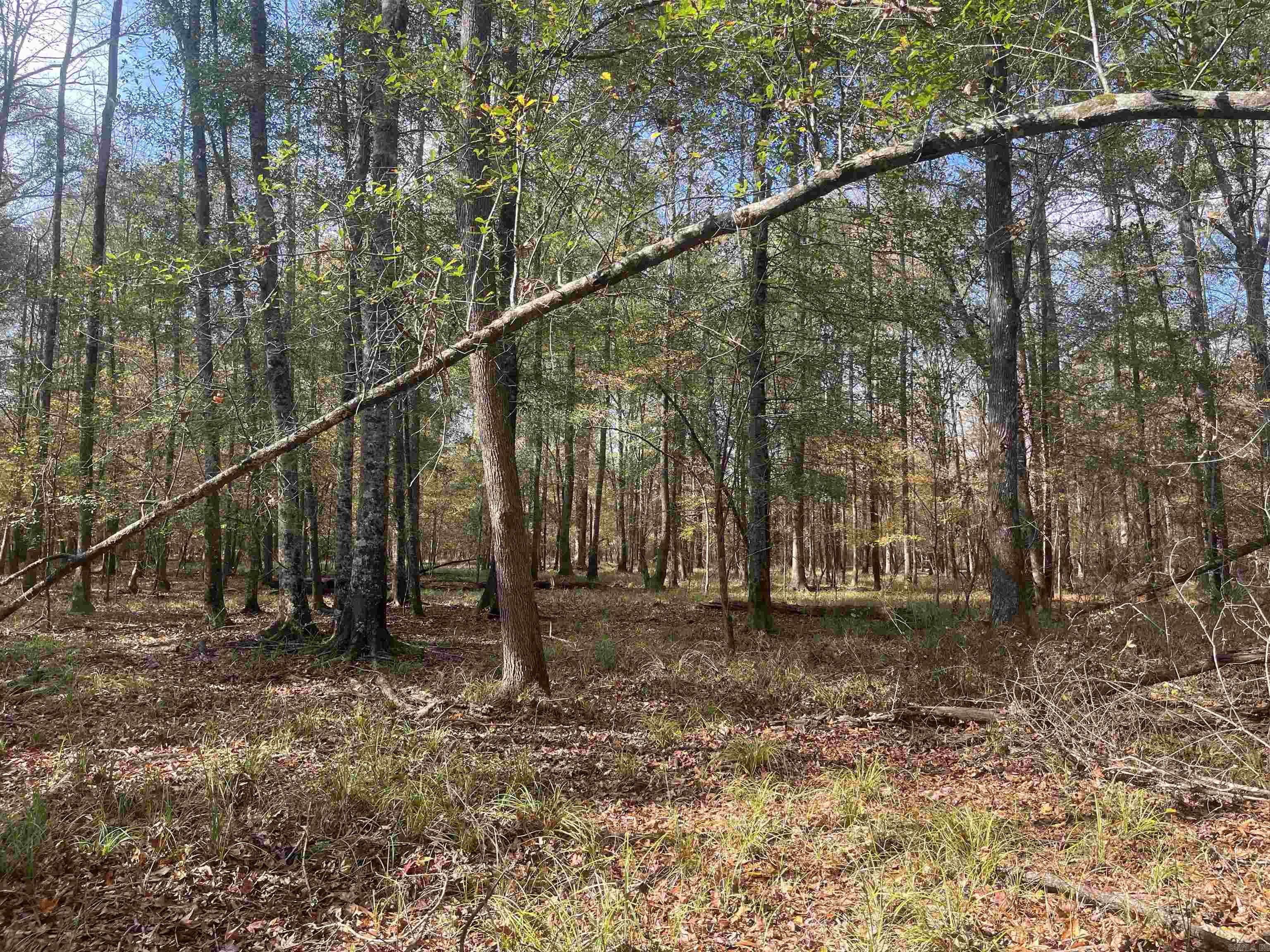 9-19-18 Salem Cemetery Rd  El Dorado, AR