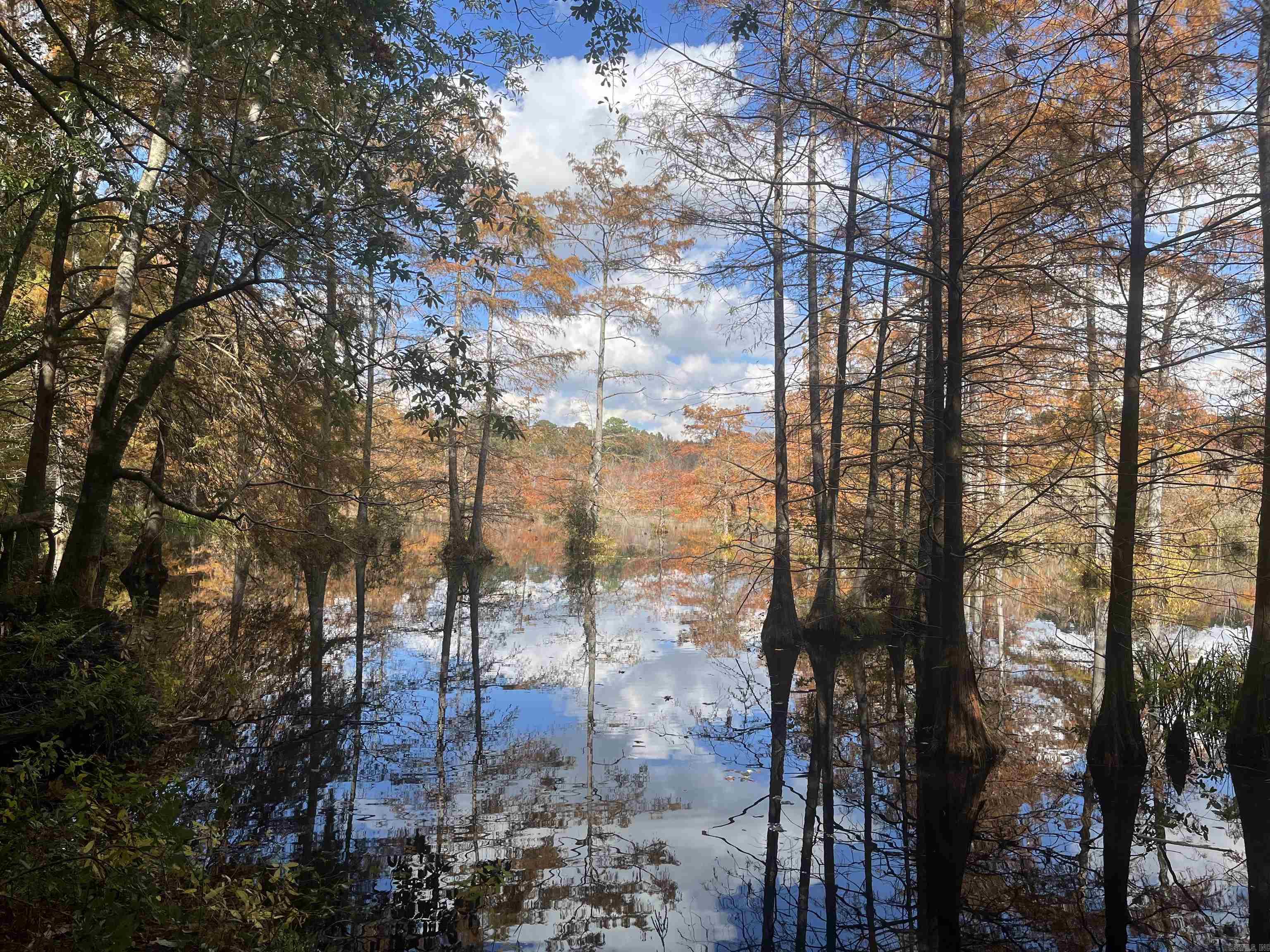 11-19-14 Hibanks Rd  Strong, AR