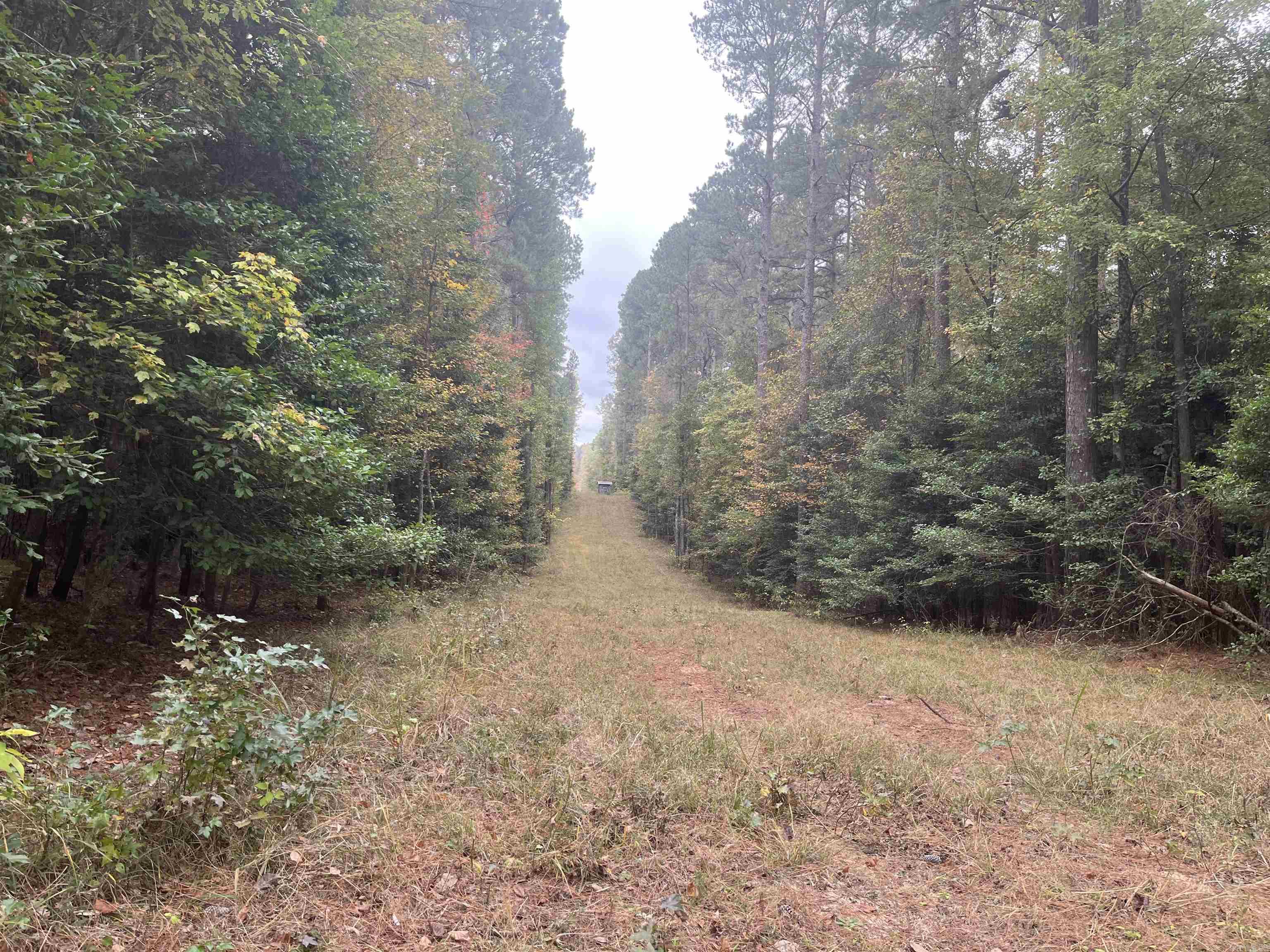 11-19-14 Hibanks Rd  Strong, AR