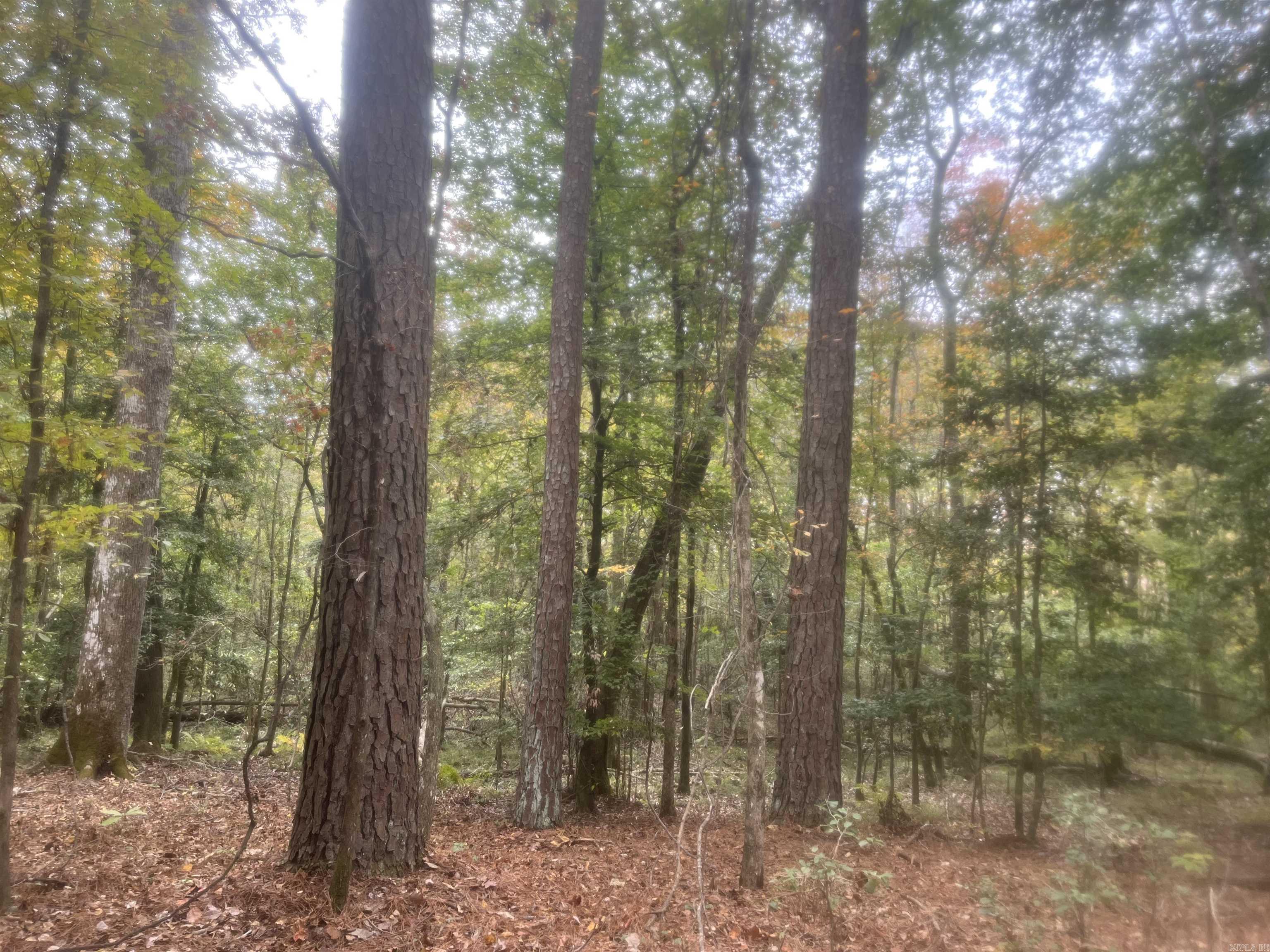 11-19-14 Hibanks Rd  Strong, AR