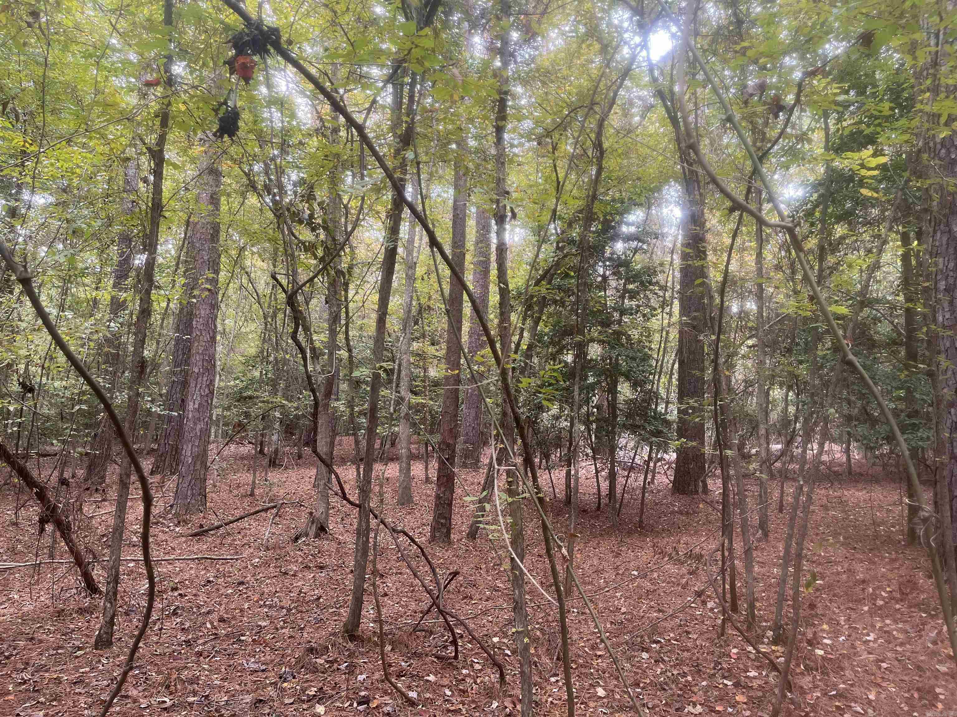 11-19-14 Hibanks Rd  Strong, AR