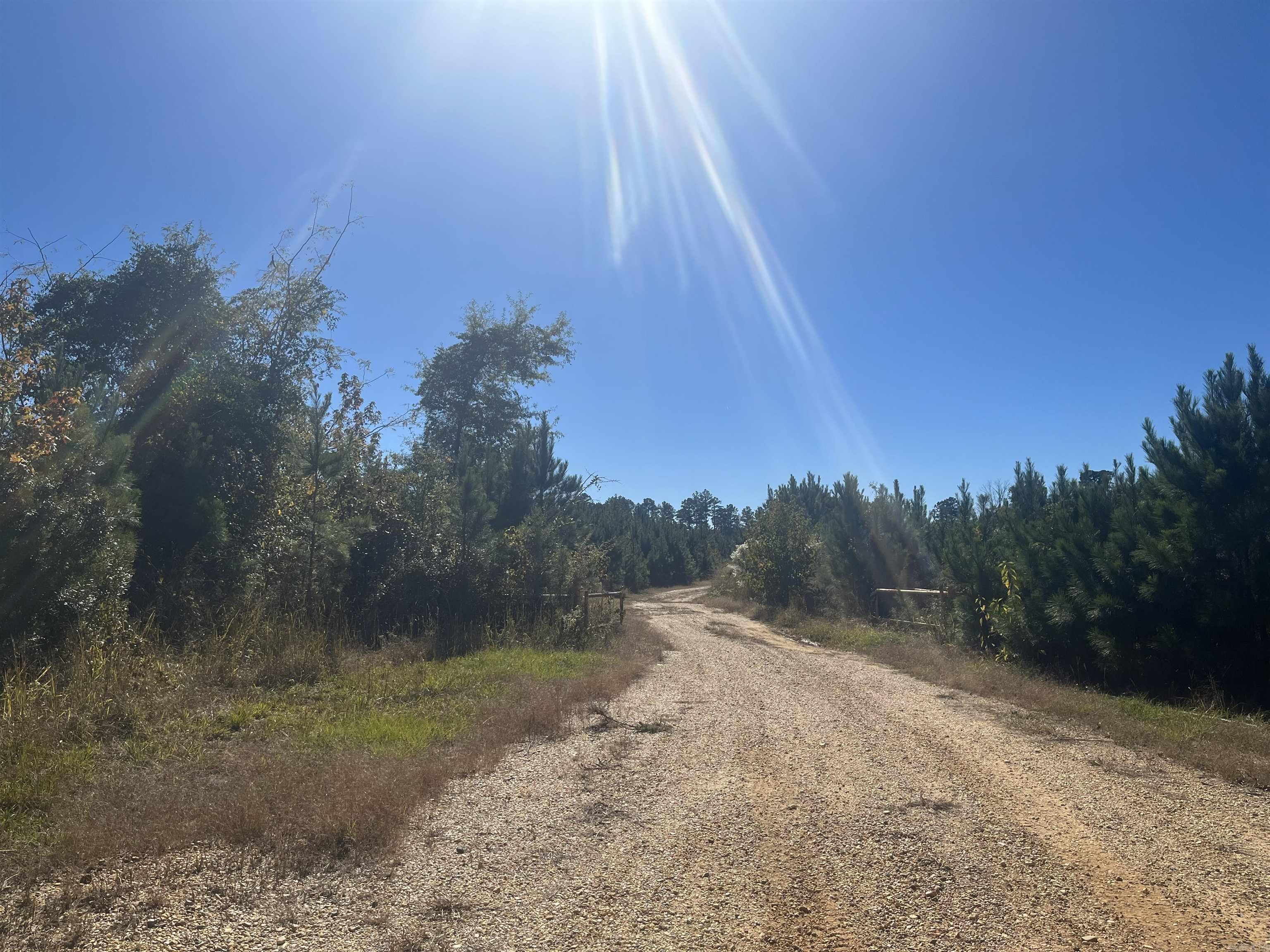 8-17-13 Cypress Creek Field Rd  Lawson, AR