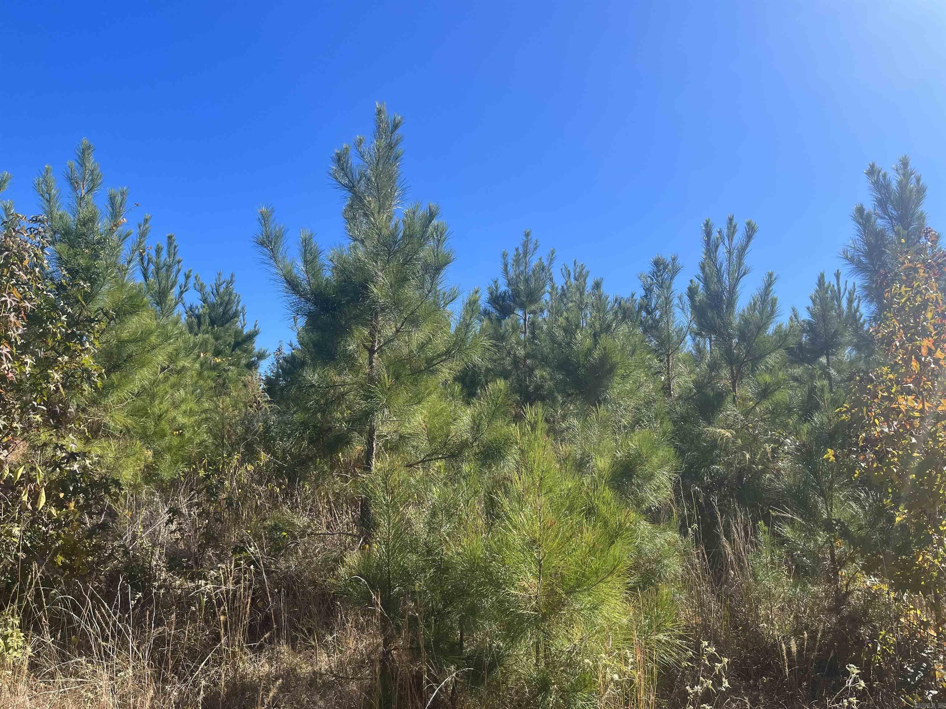 8-17-13 Cypress Creek Field Rd  Lawson, AR