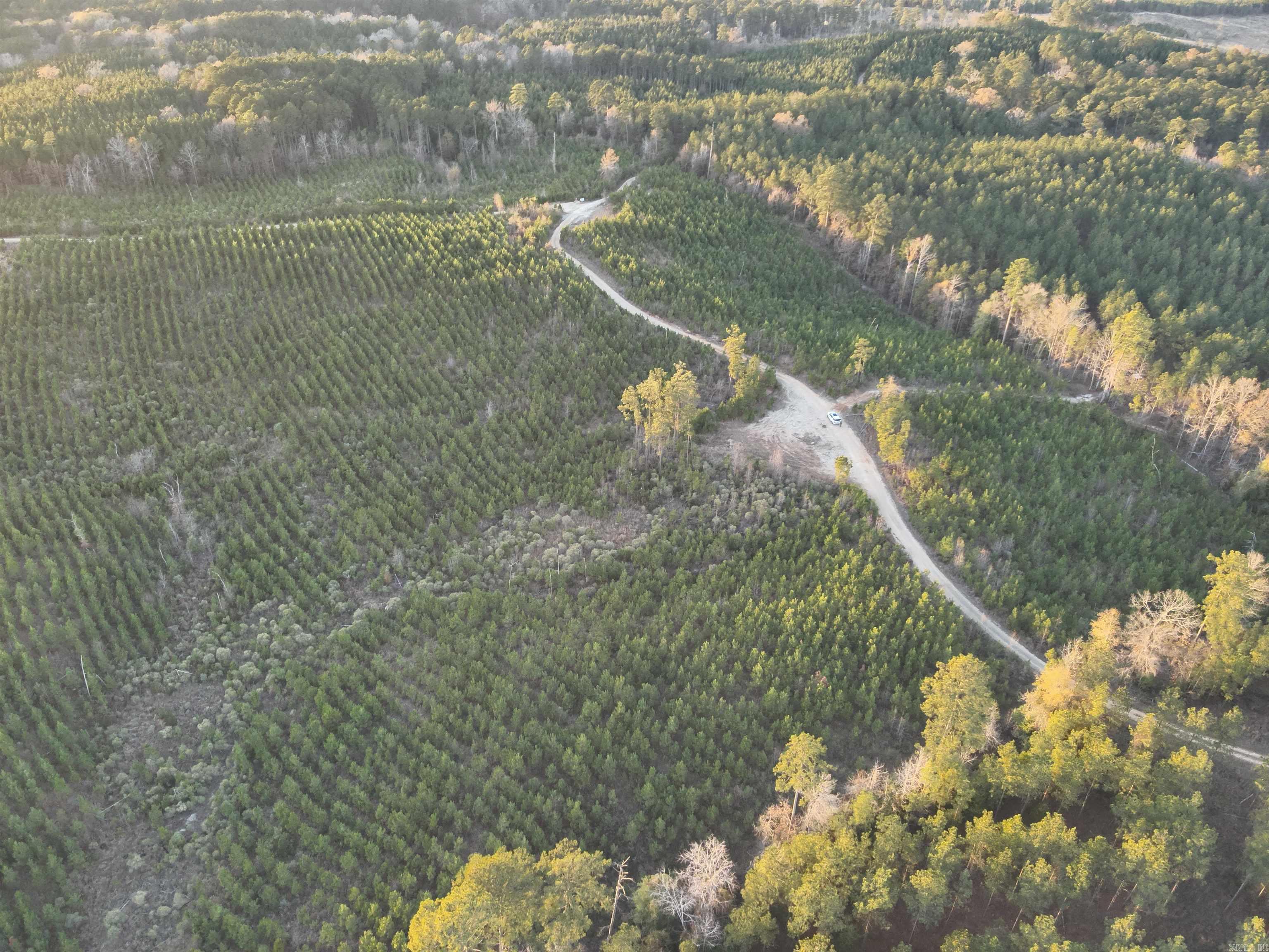 8-17-13 Cypress Creek Field Rd  Lawson, AR