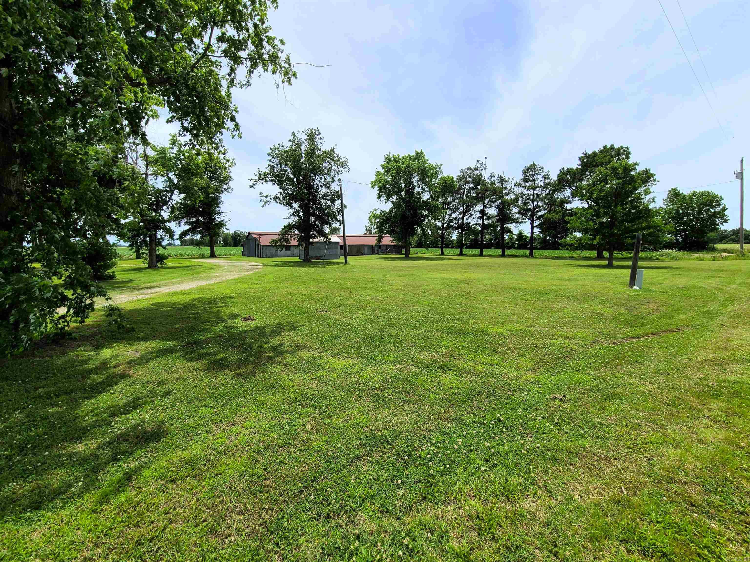 430 CR 554  Piggott, AR