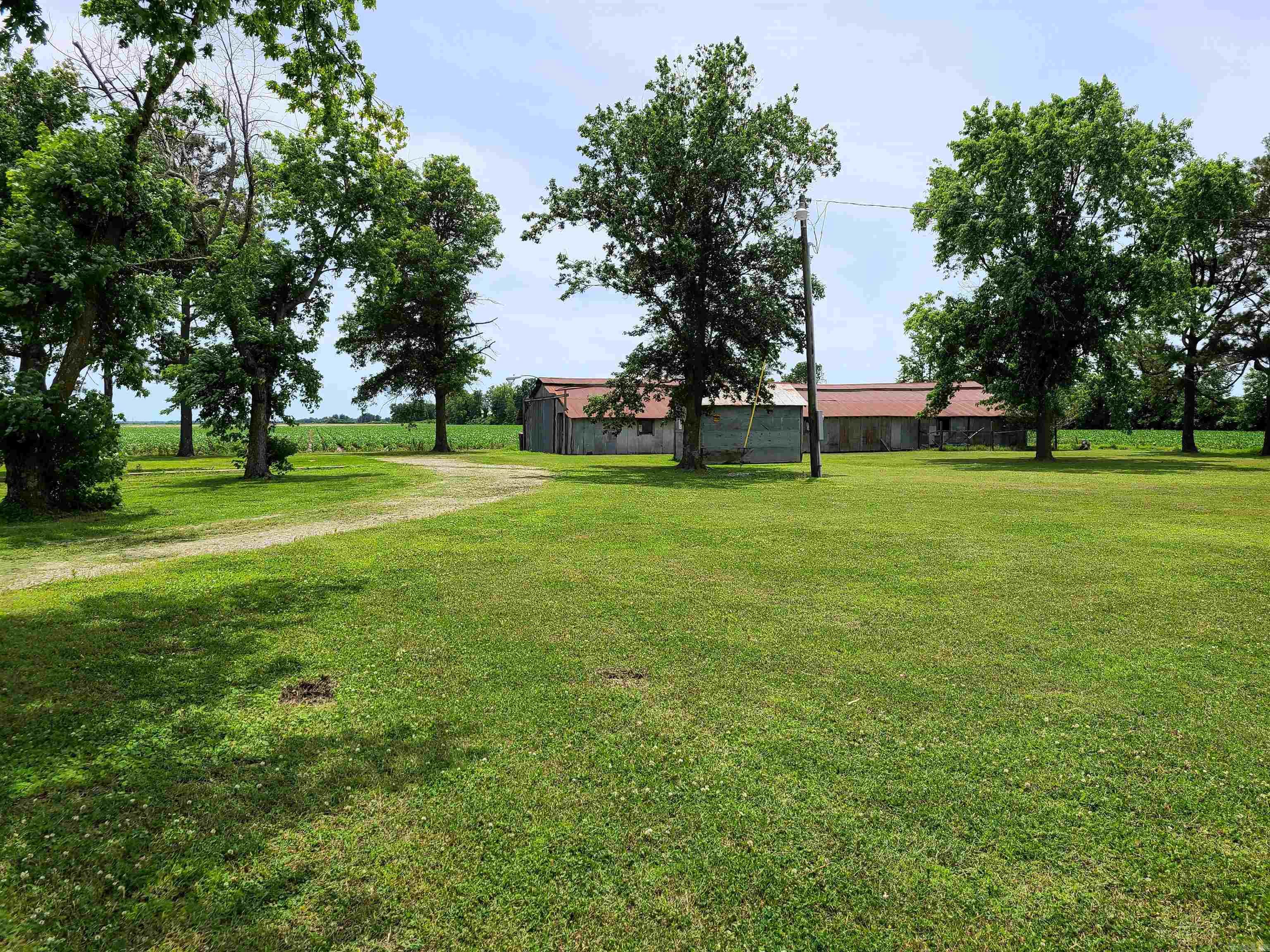 430 CR 554  Piggott, AR