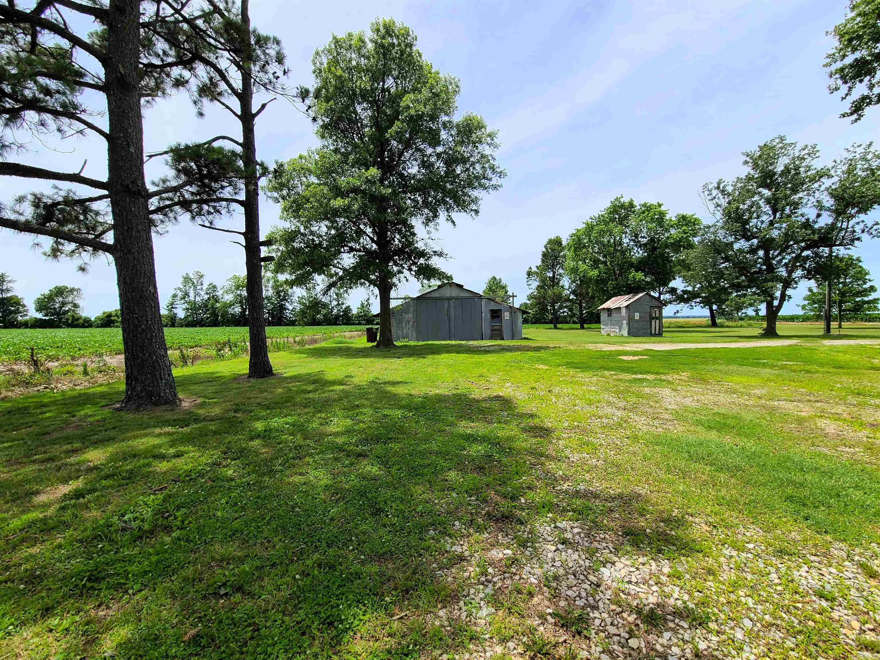 430 CR 554  Piggott, AR