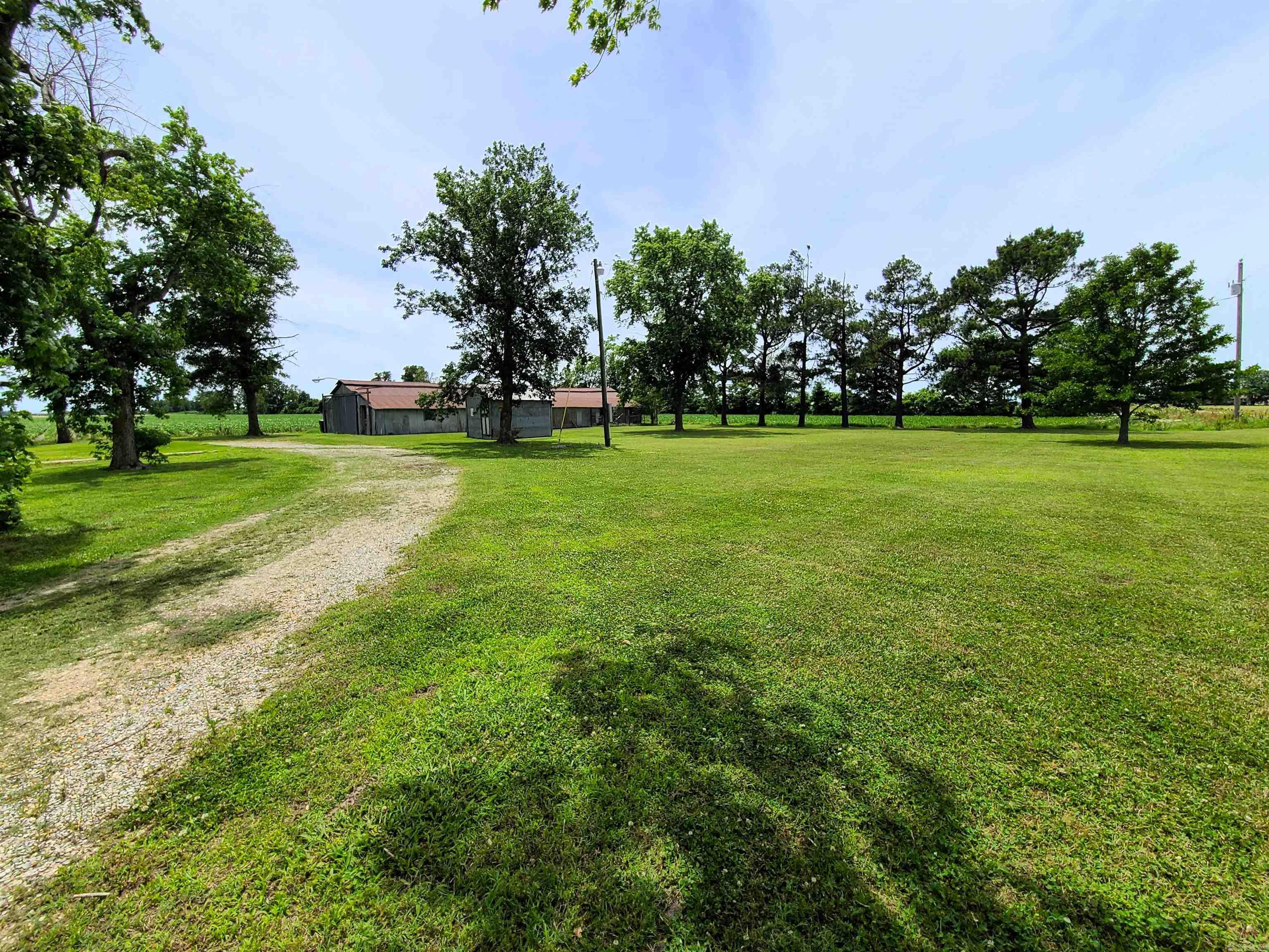 430 CR 554  Piggott, AR